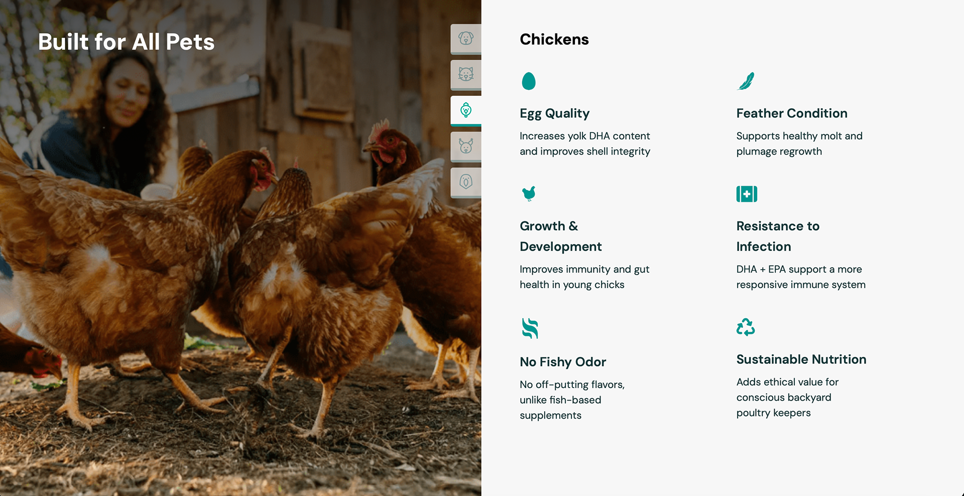 Chickens