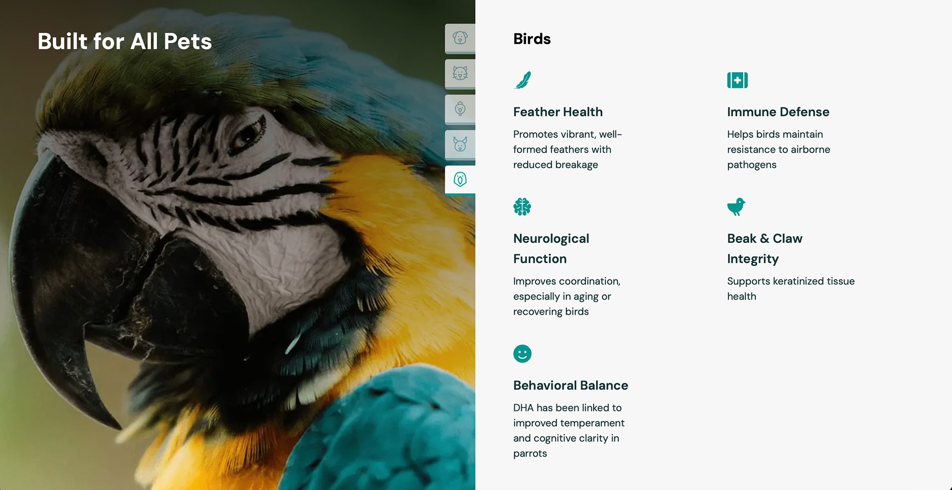 Birds