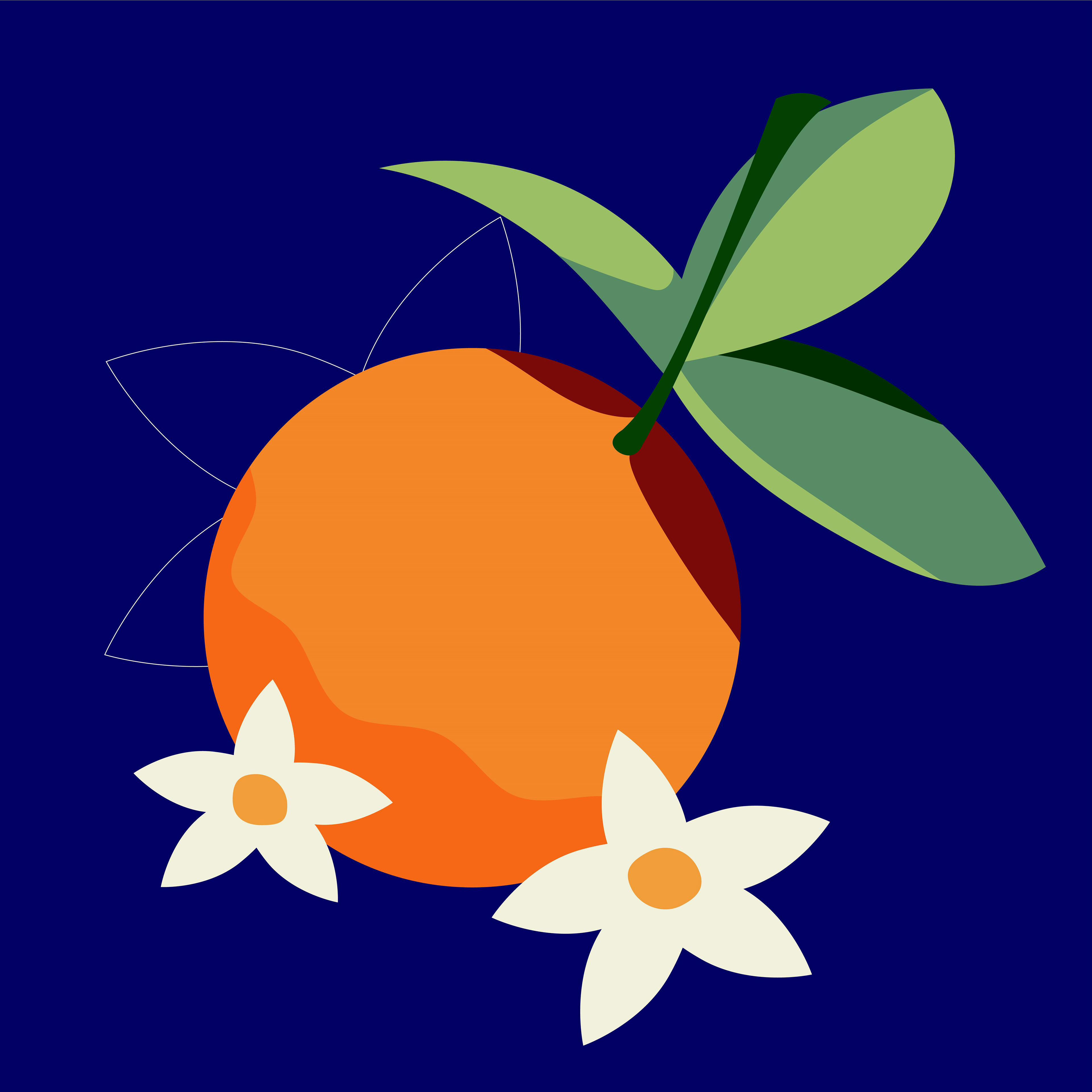 Orange Blossoms