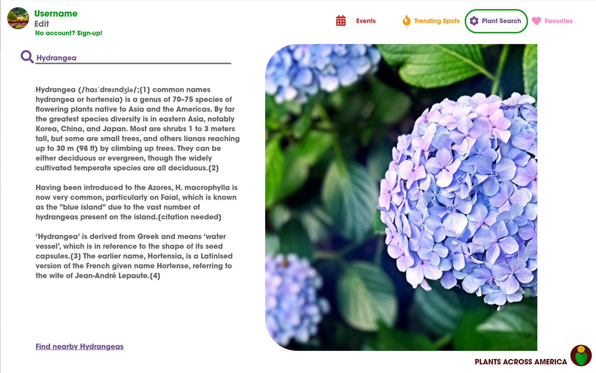 A glossary of flora