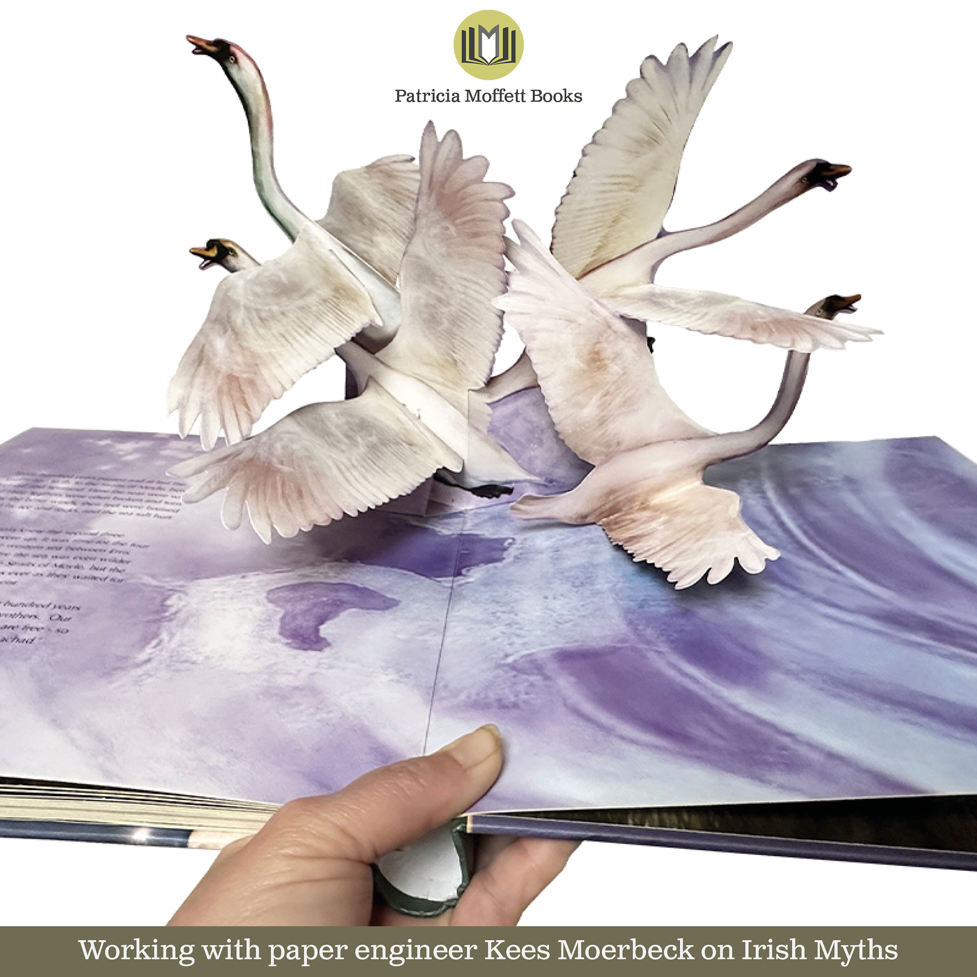 Sample illustration image