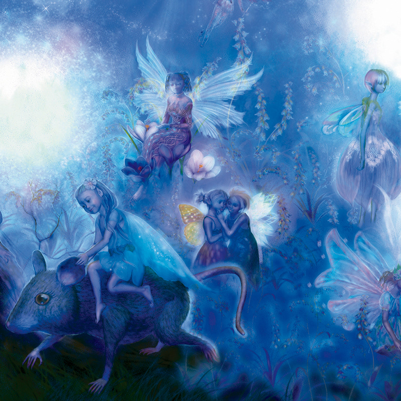 Fairies, Carlton Books