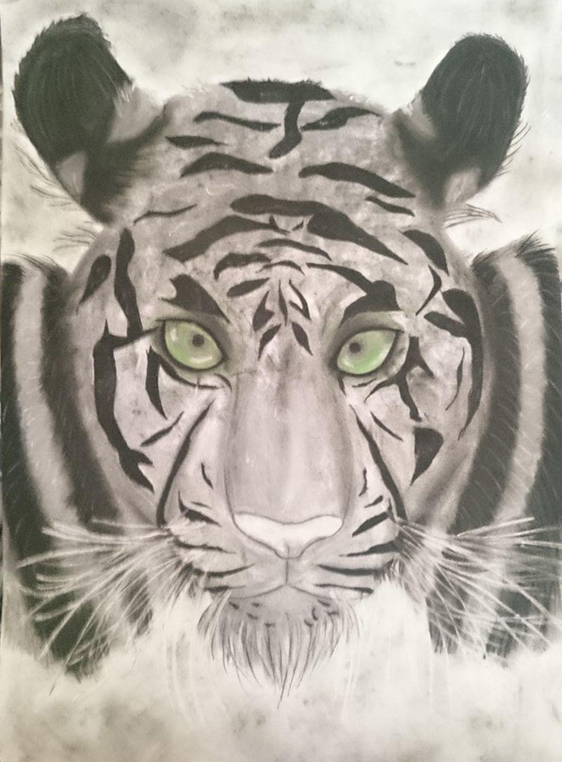 Tiger, tiger burning bright, Charcoal on Paper, 2017