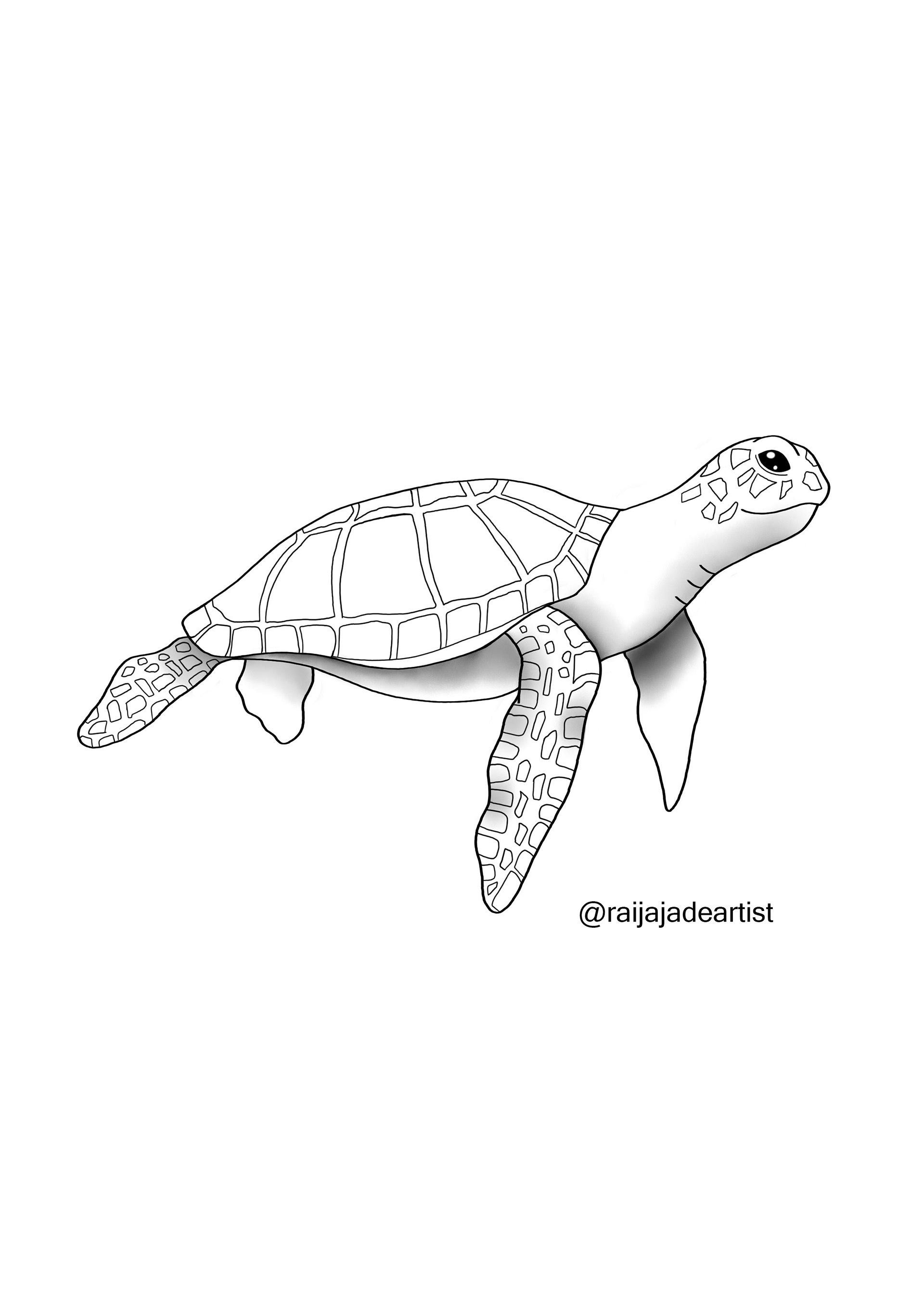 Shading Practice Turtle, Digital Illustration, Adobe Photoshop, 2022