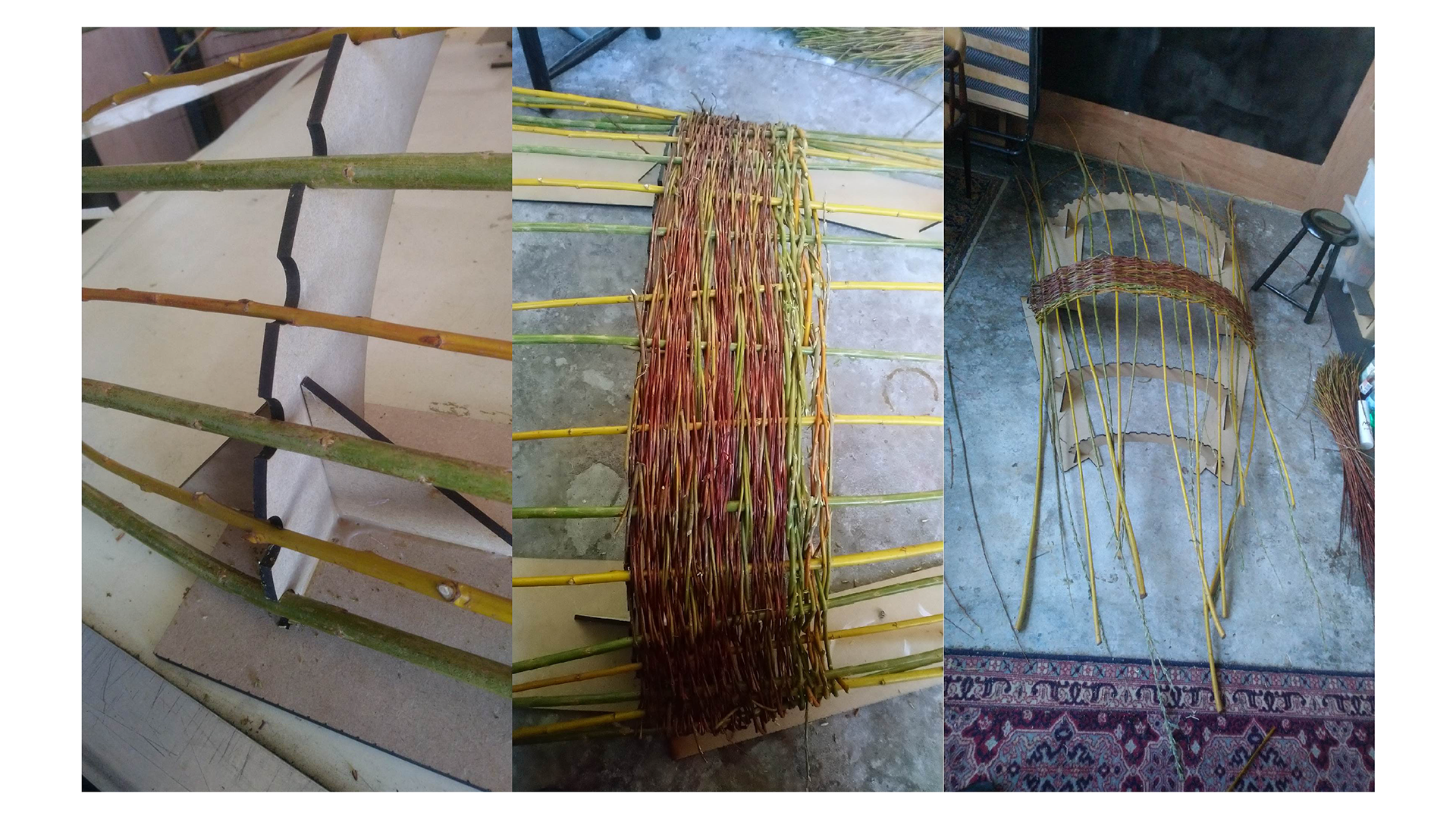 Fletter pil | Weaving willow