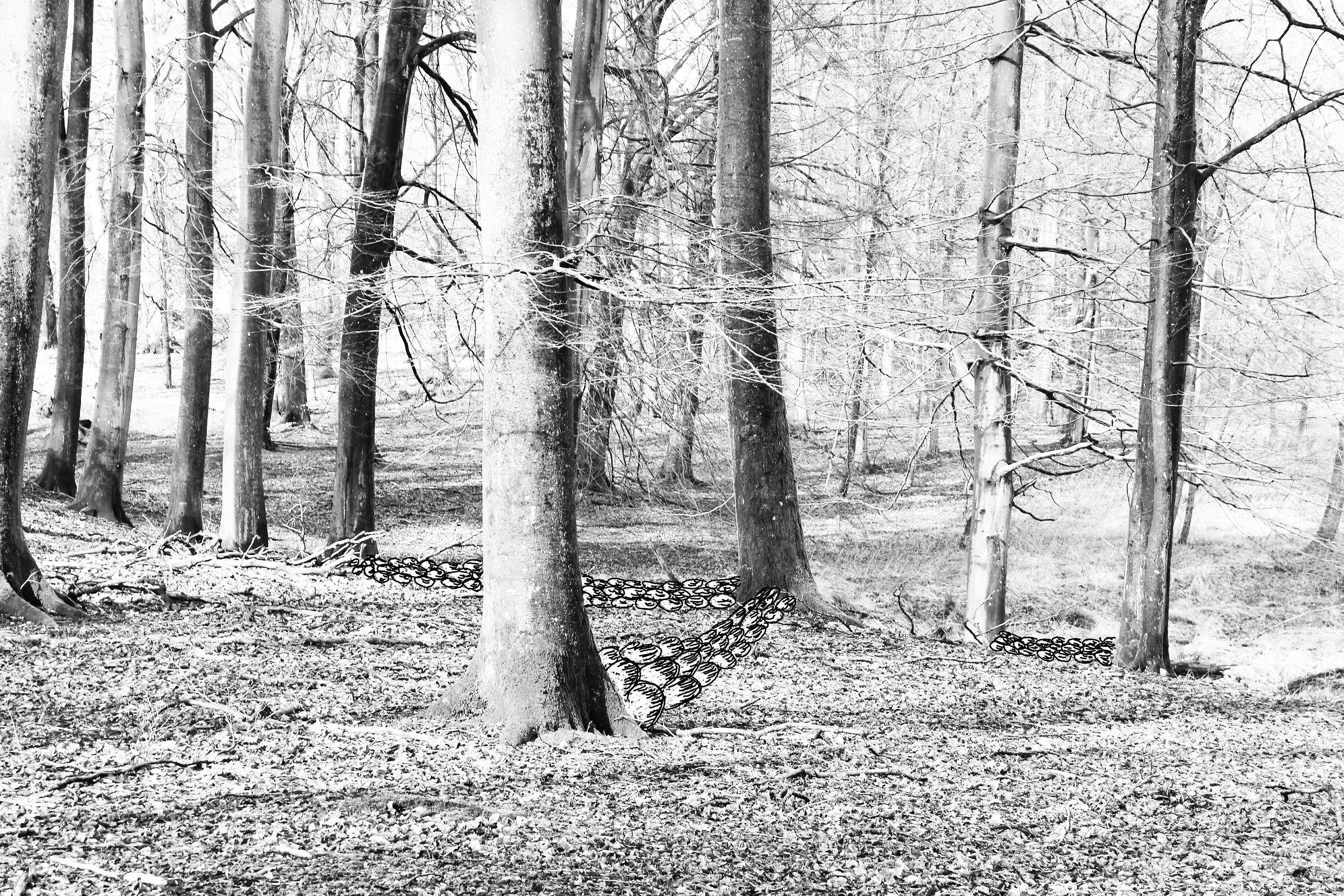 Skitse på foto | Sketch on photo