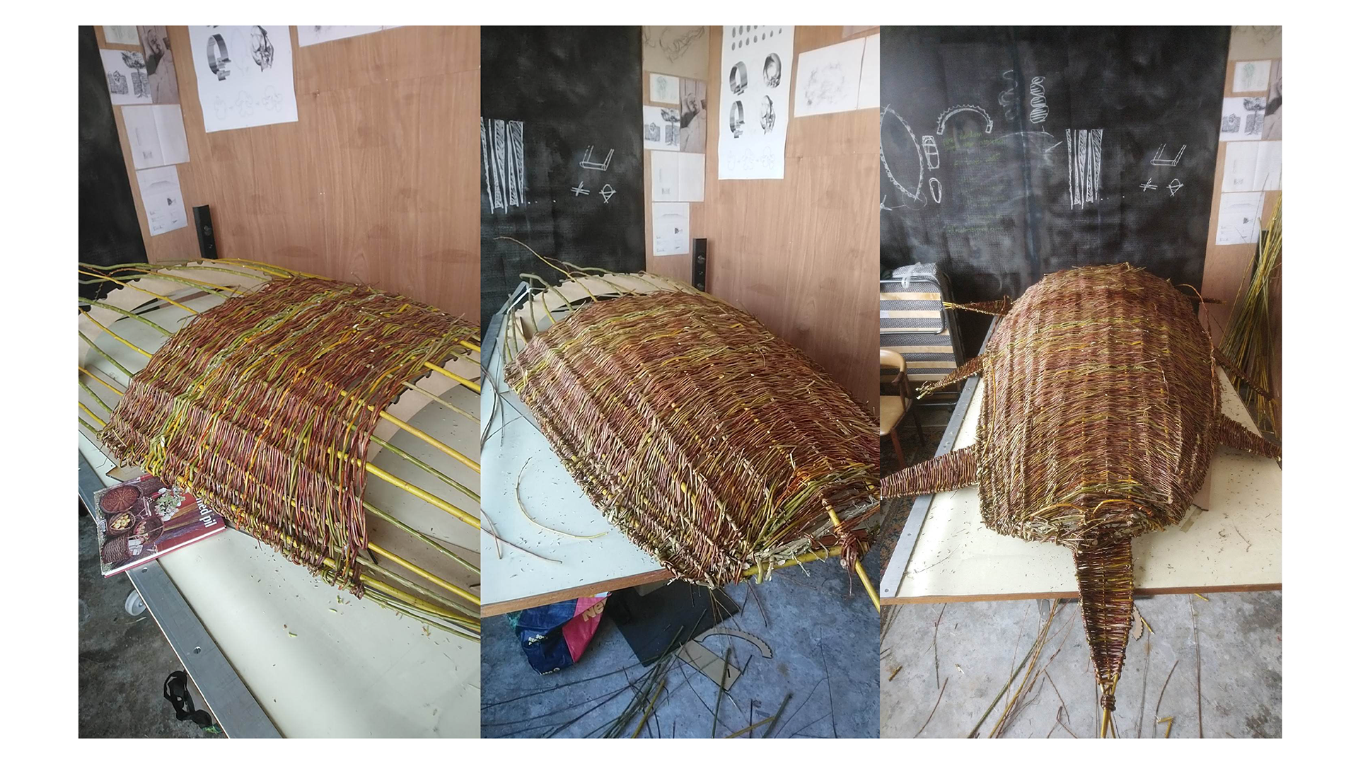 Fletter pil | Weaving willow