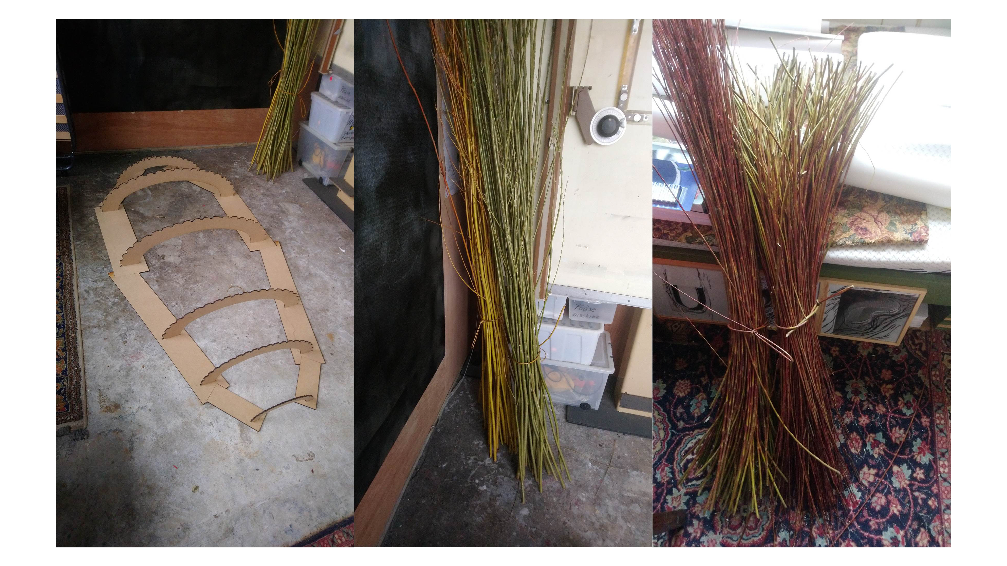 Fletter pil | Weaving willow