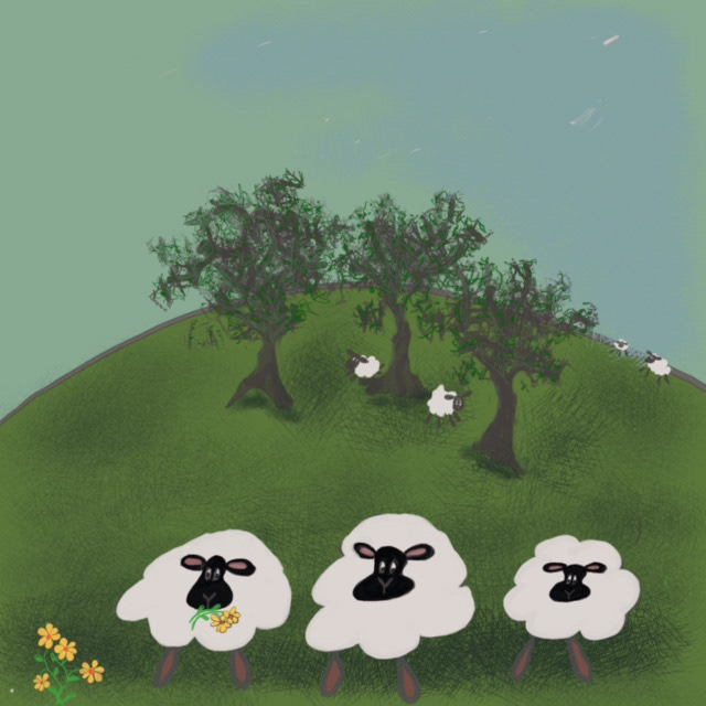 Sheep and Lambs