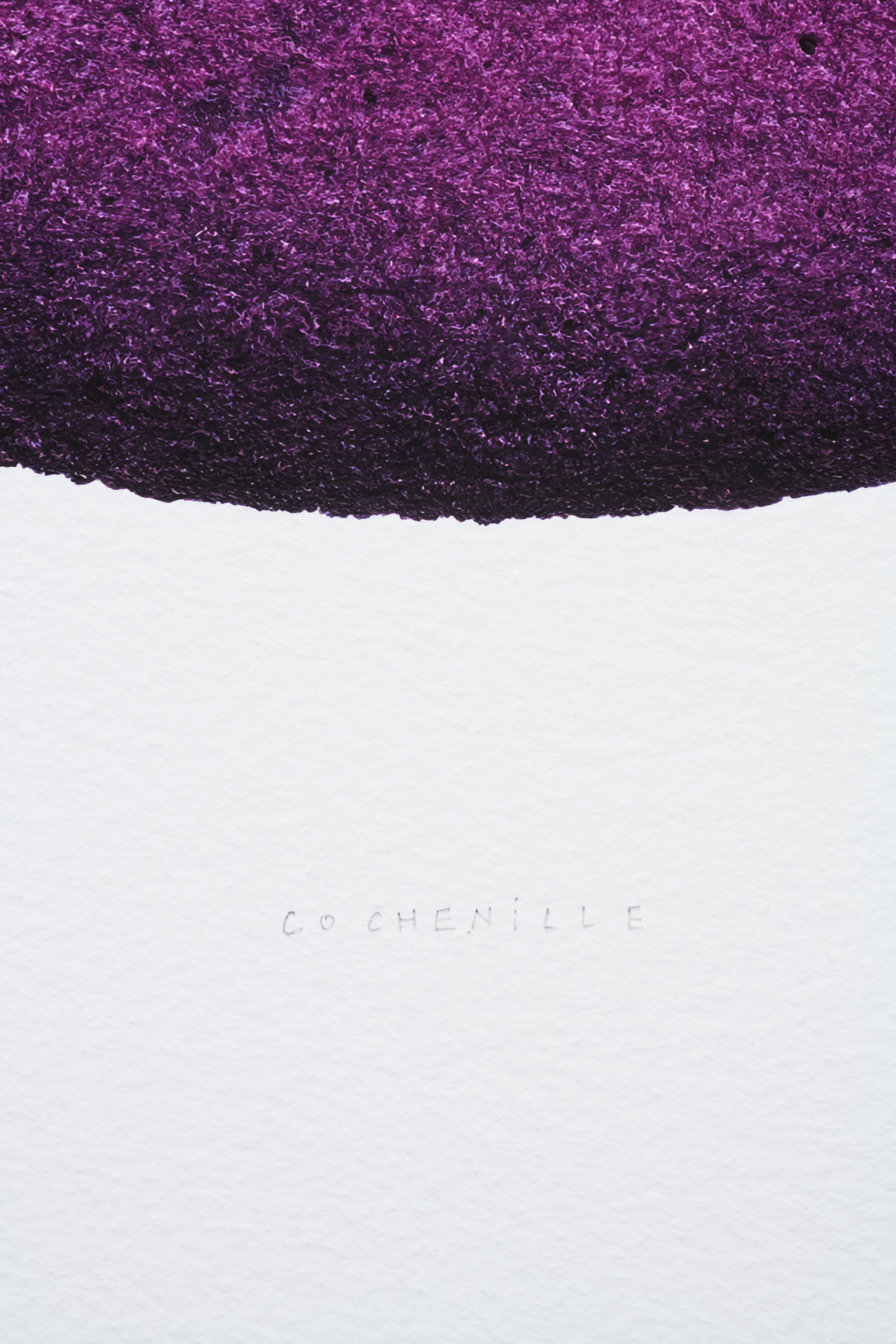 Nom de la plante manuscript.