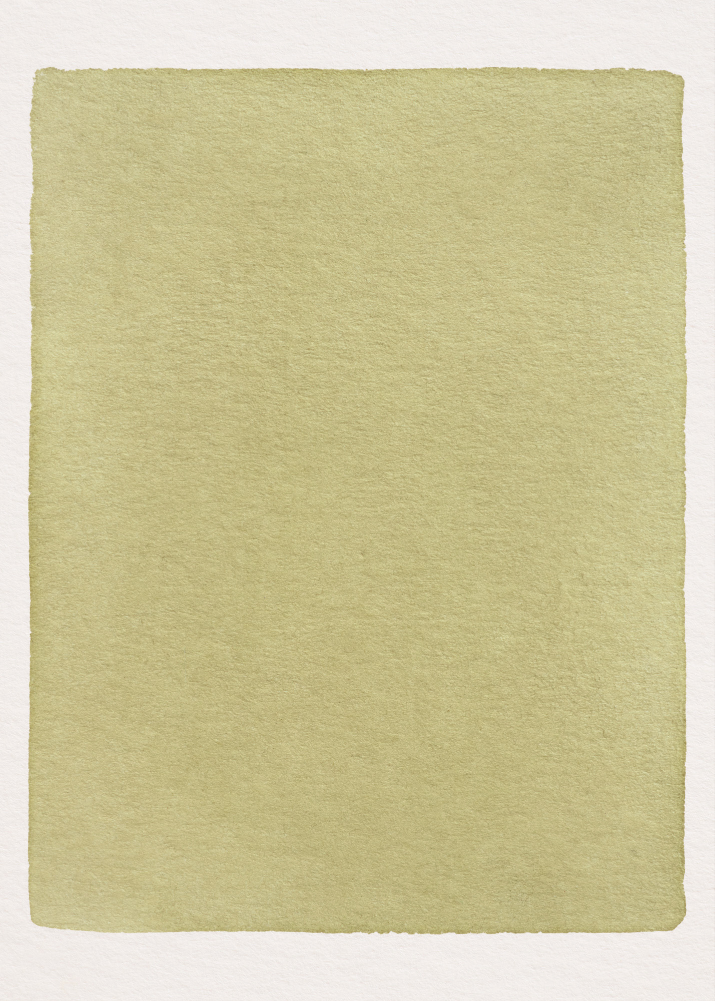 Oeillet d'Inde N°2.2