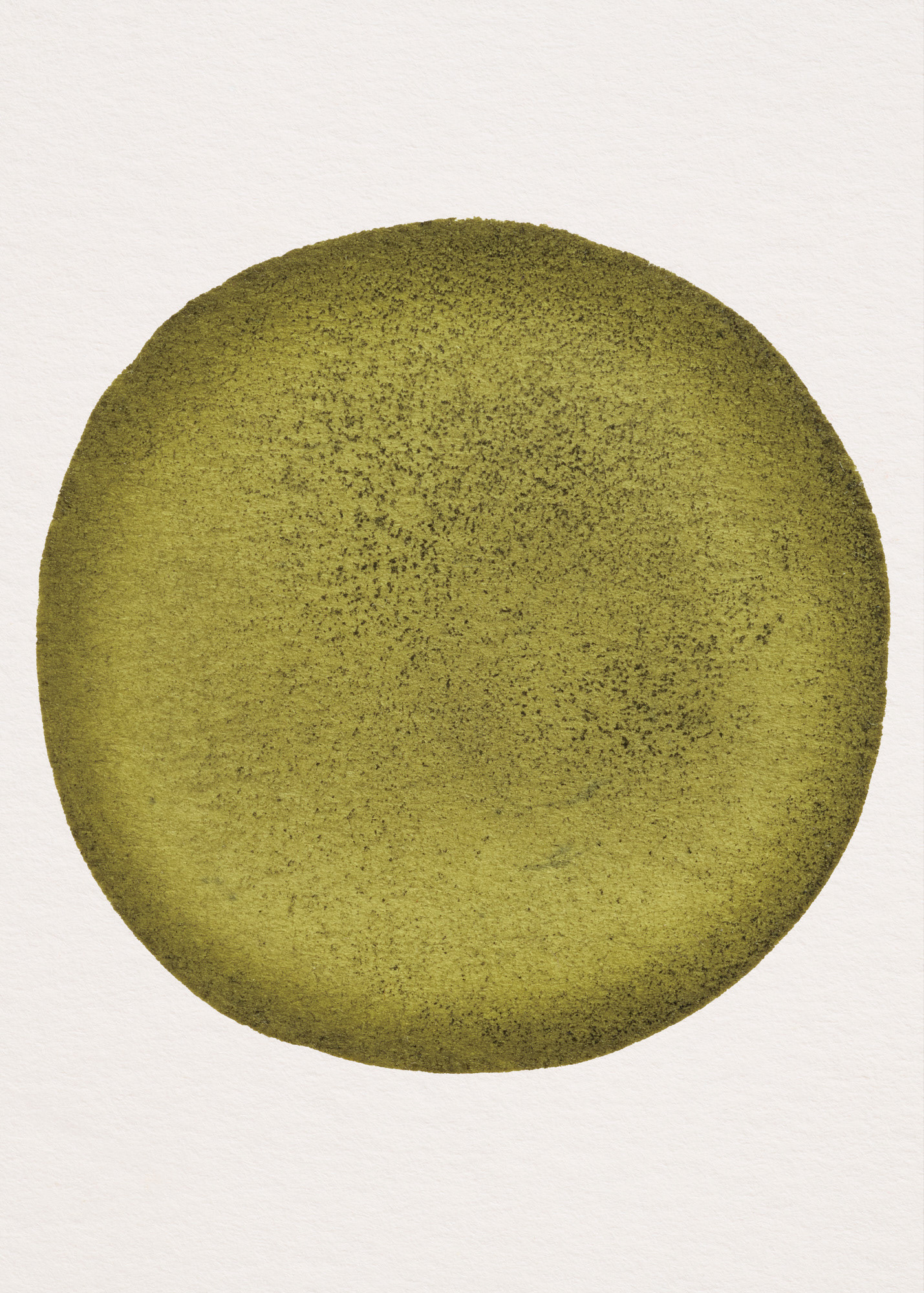 Oeillet d'Inde N°1.4