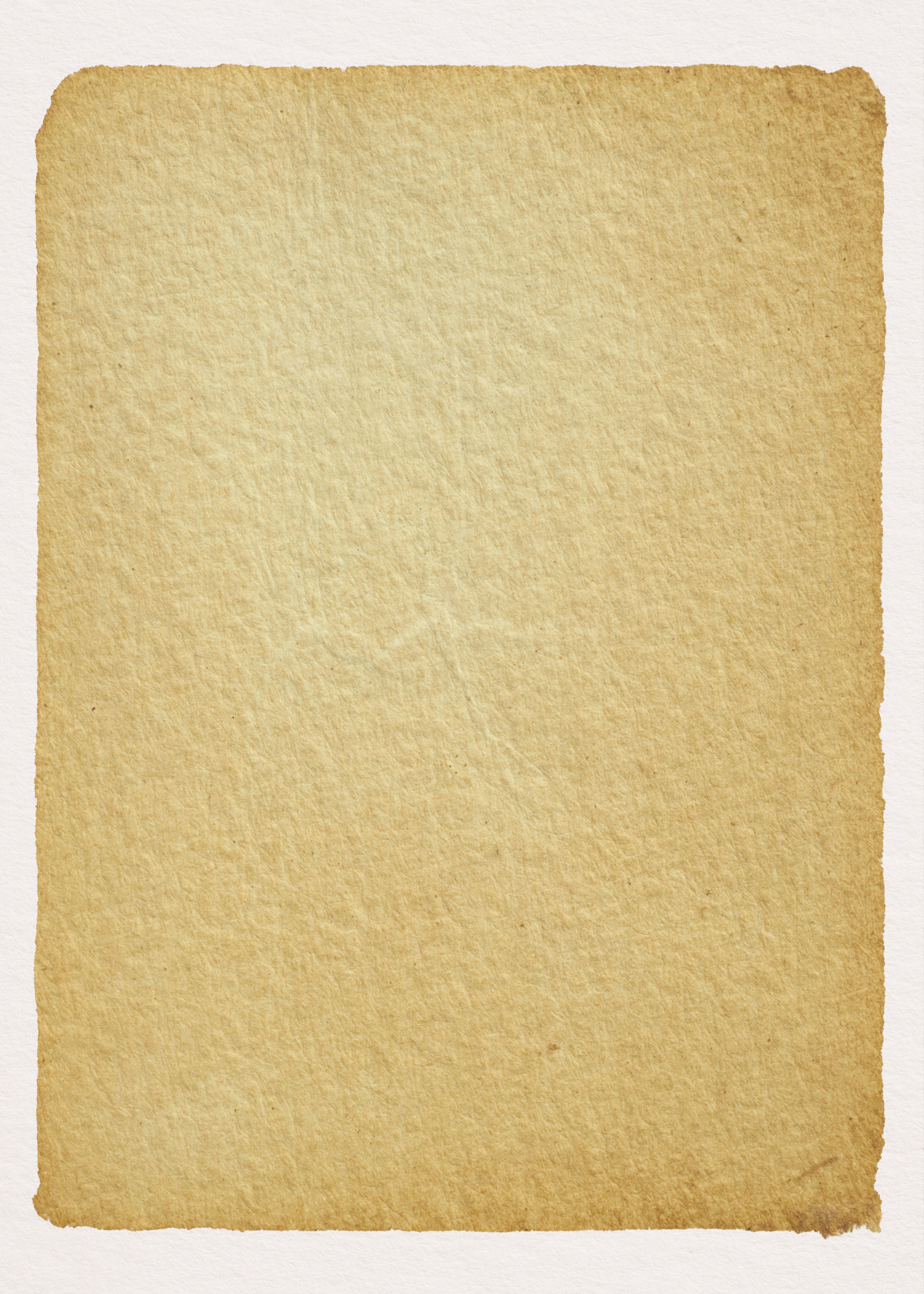 Pelures d'oignon jaune N°2.0