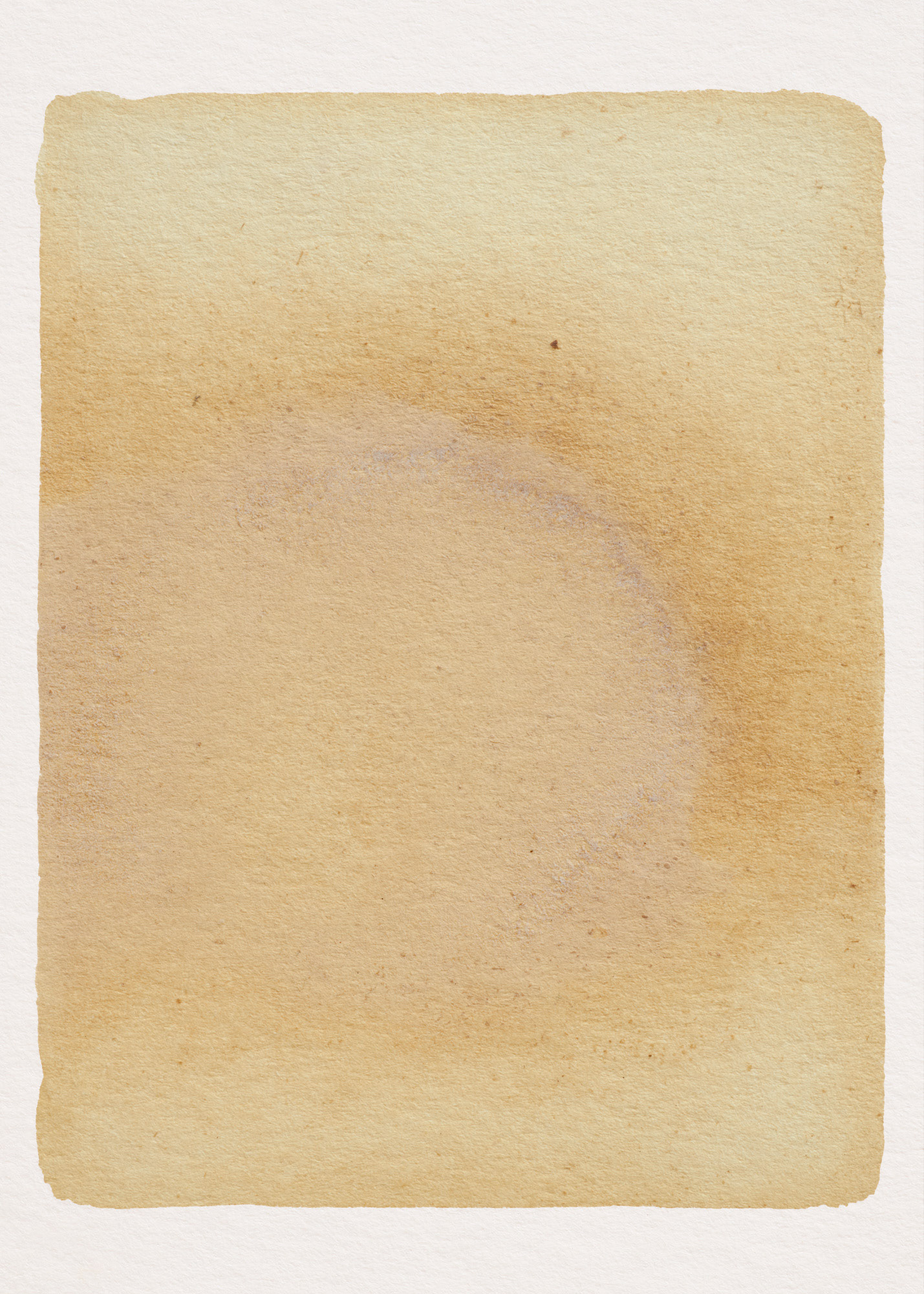 Pelures d'oignon N°2.0