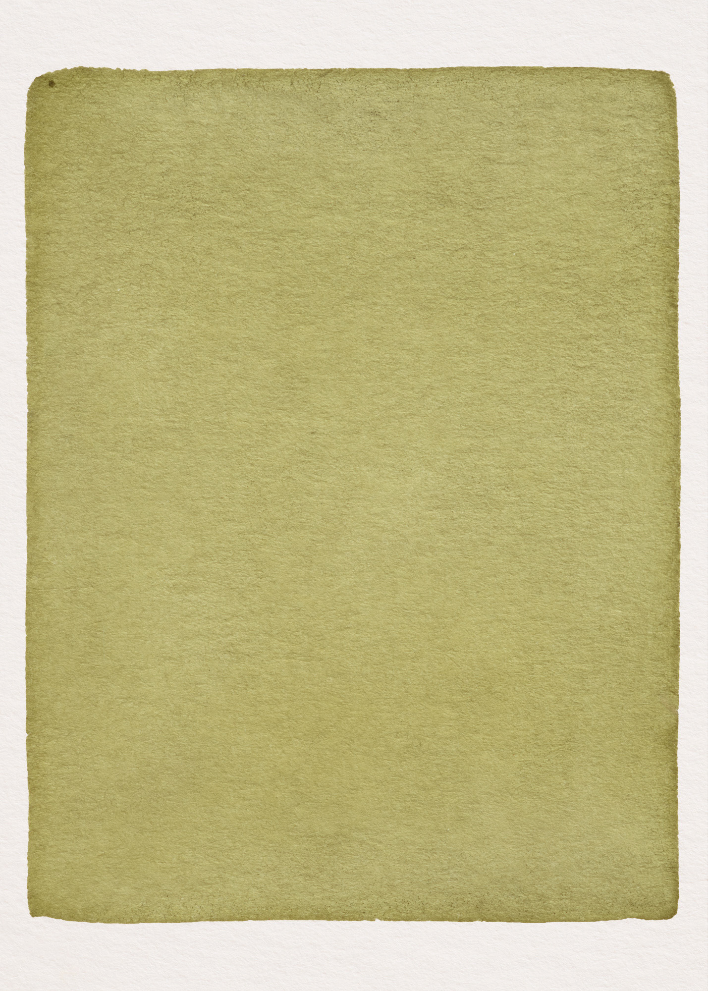 Oeillet d'Inde N°2.1