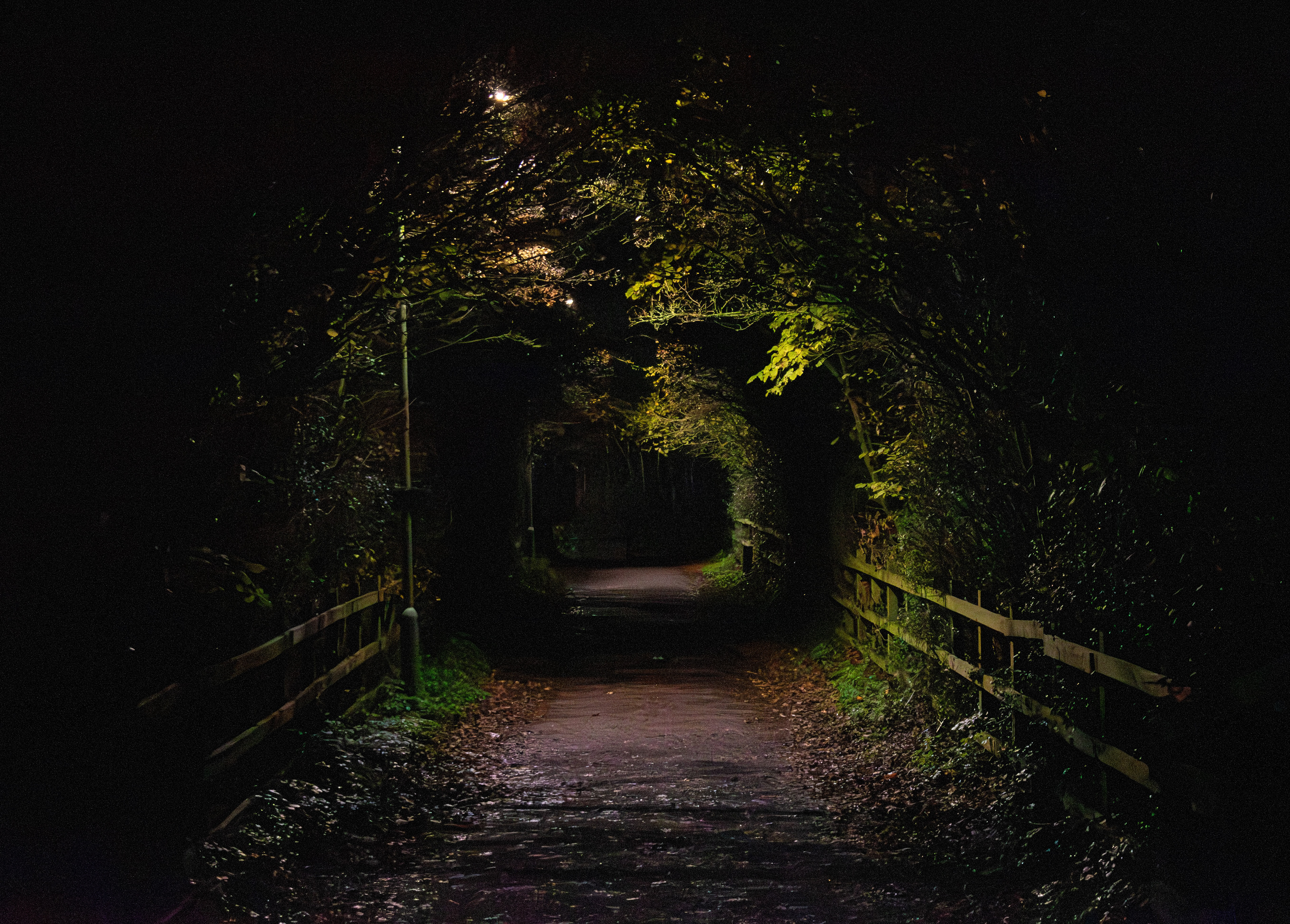 Portal - Bury St. Edmunds, 2025