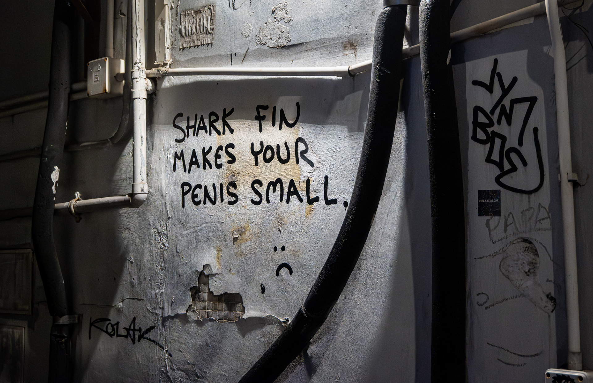 Conservation - Hong Kong, 2026