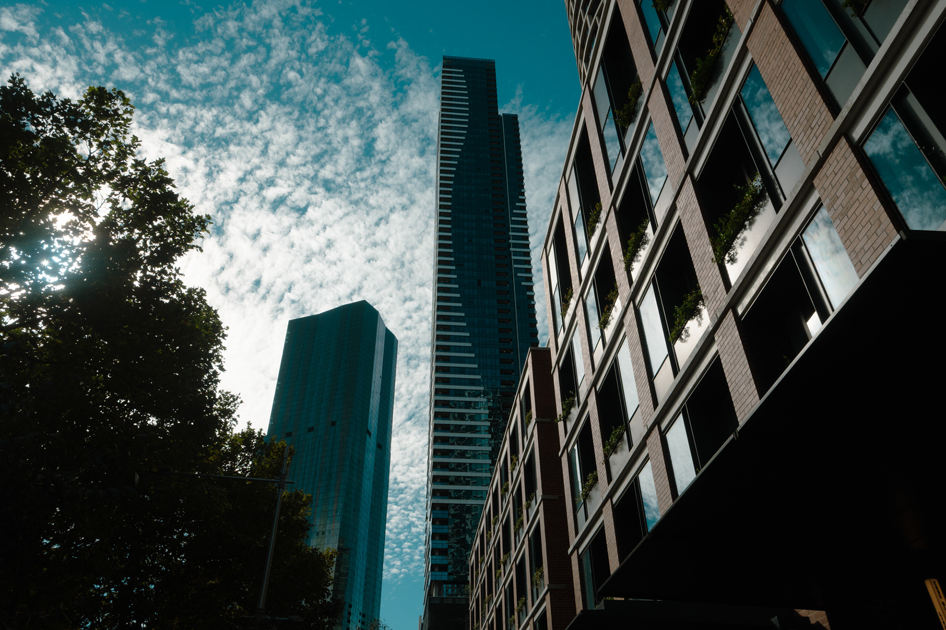Reach -Sydney, 2026