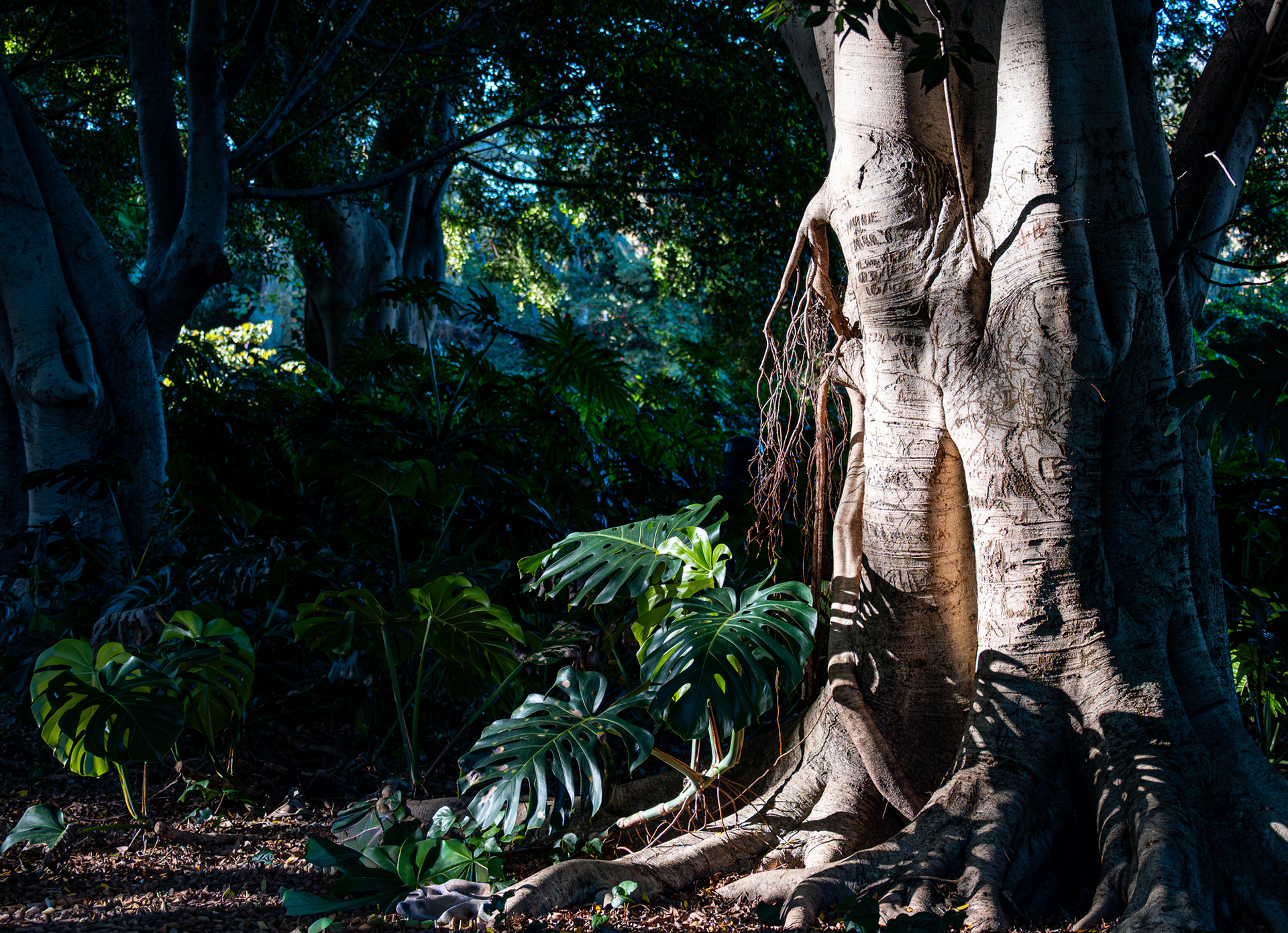 Enduring - Sydney, 2026