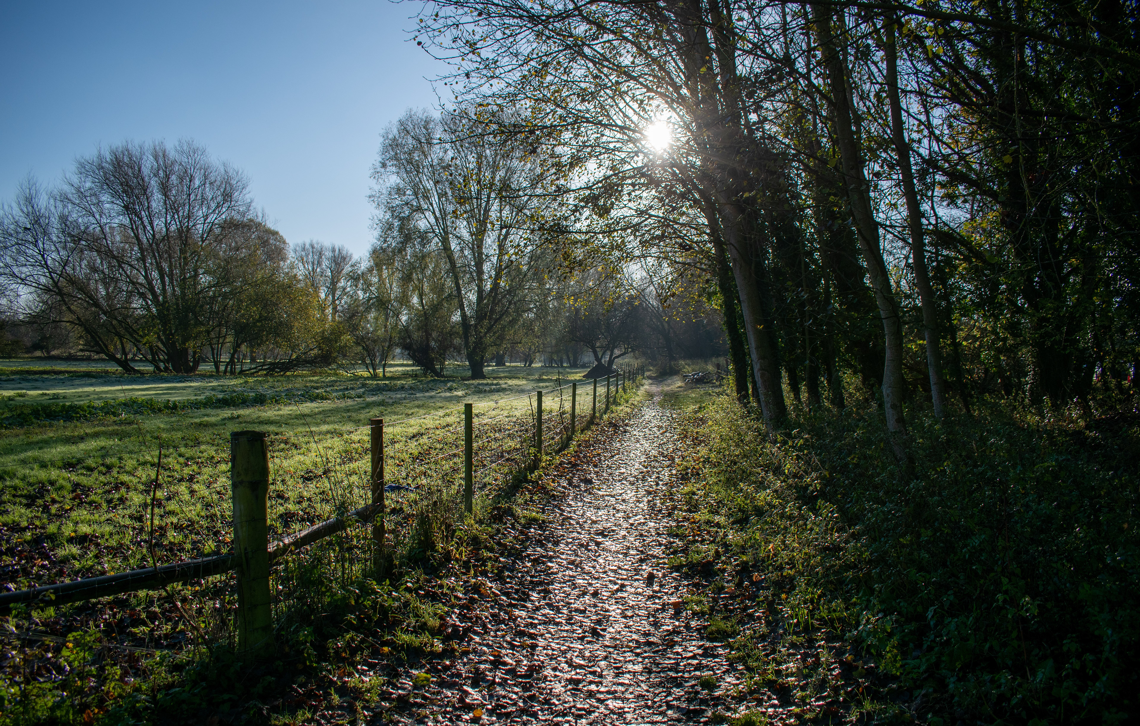 Morning - Bury St Edmunds, 2025