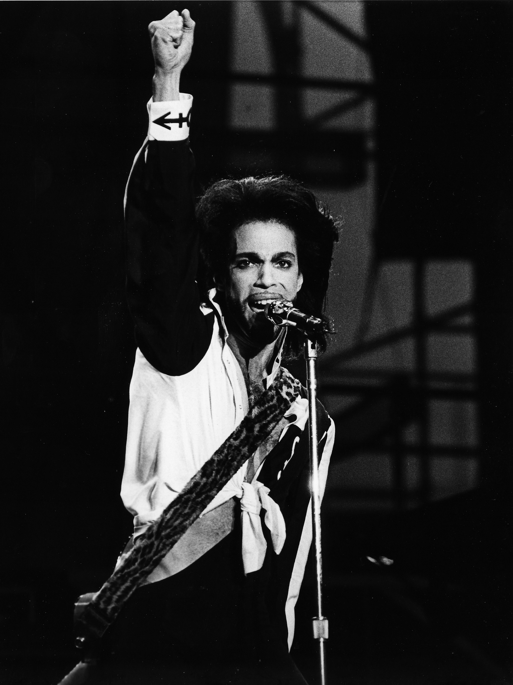 Prince, Concert, Pairc Ui Chaoimh, Cork Music