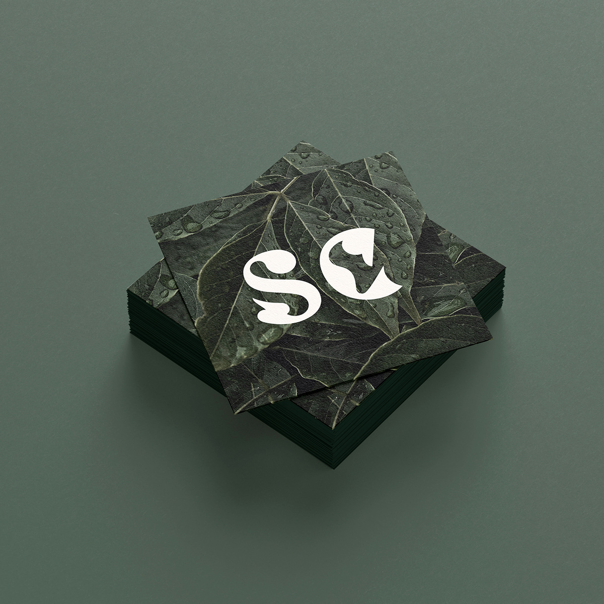 SC Logo Design, 2022