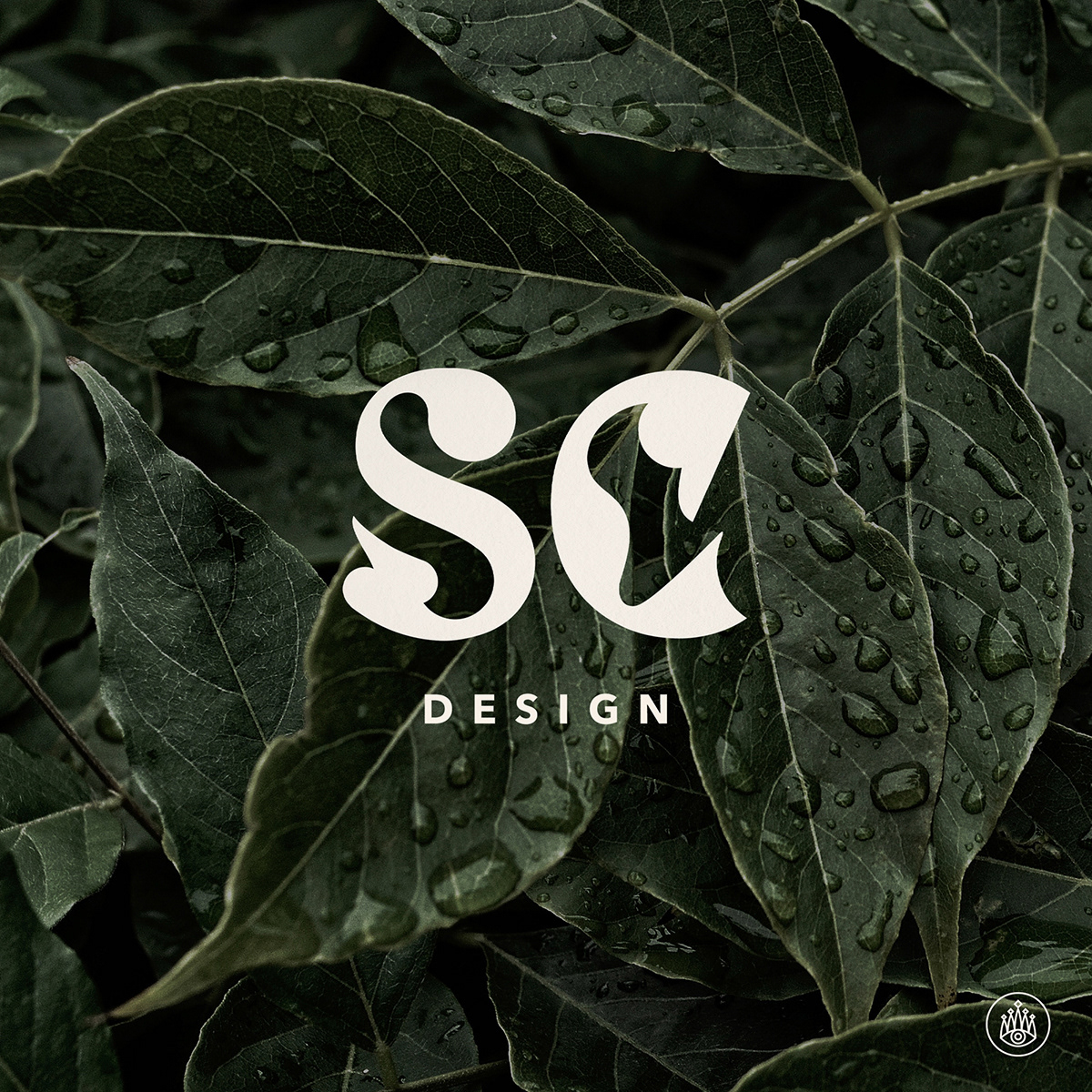 SC Logo Design, 2022