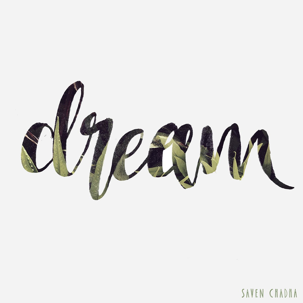 Dream Leaves, 2016