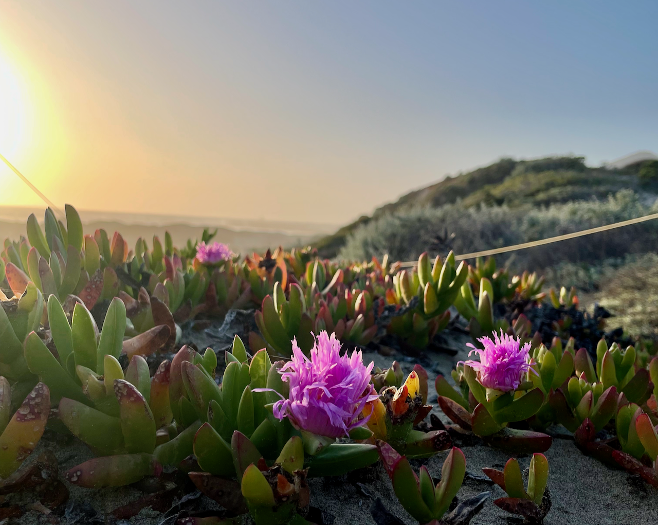 Morro Bay State Park, Morro Bay, CA