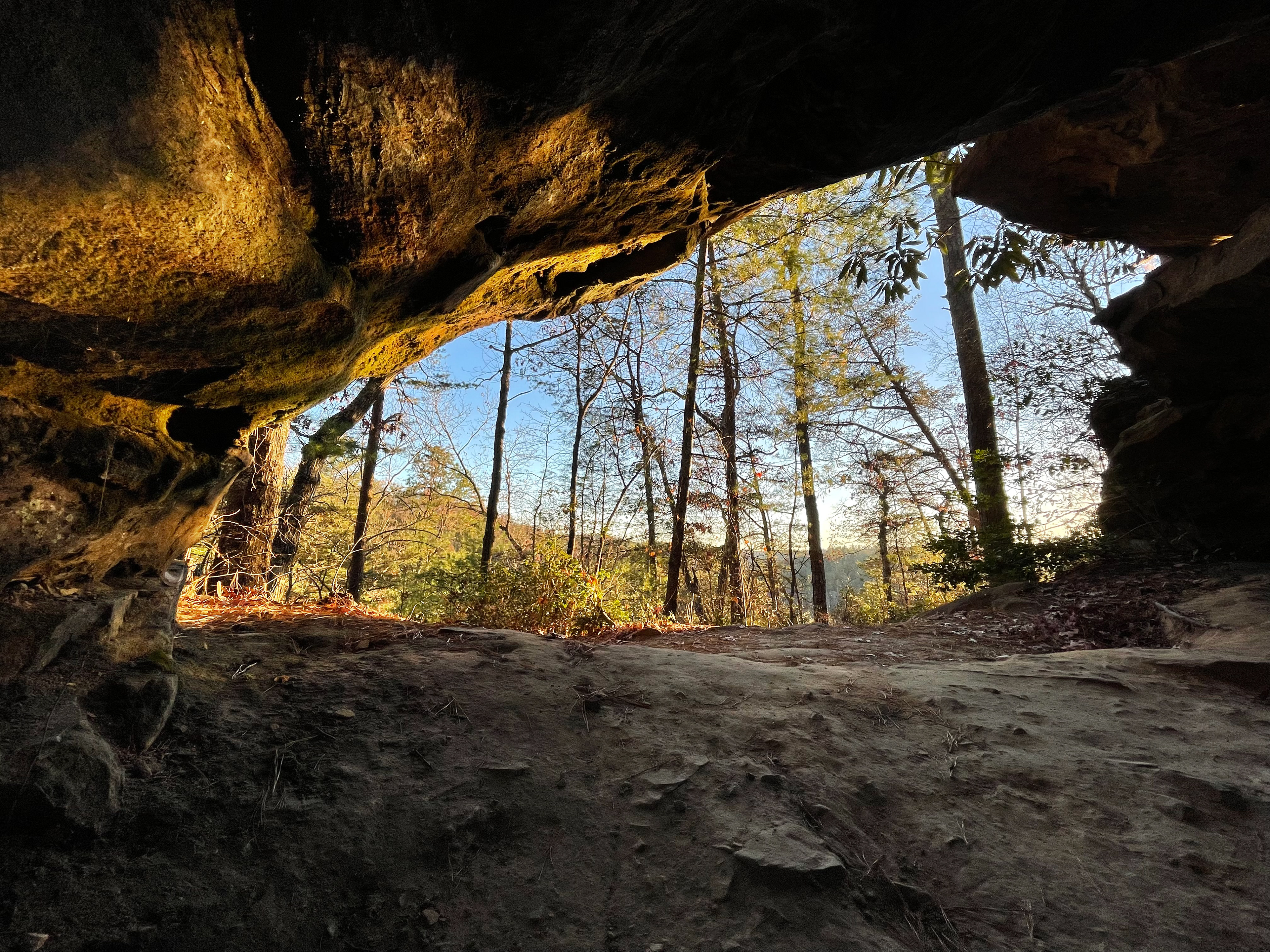 Whistling Arch Trail, Red River Gorge, KY