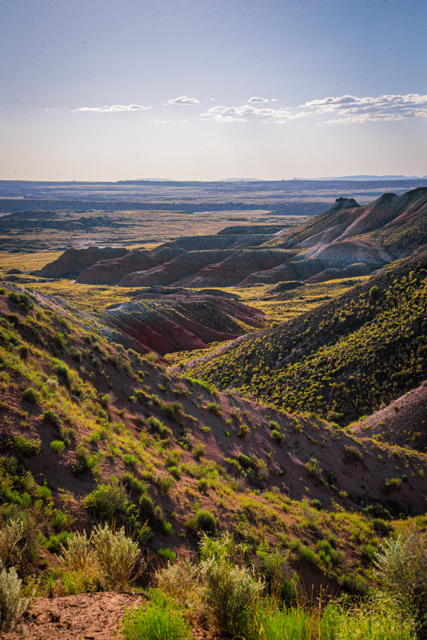Petrified Forest National Park, AZ