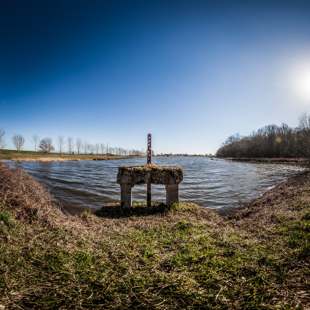 photo d'un Thou des étangs de la Dombes