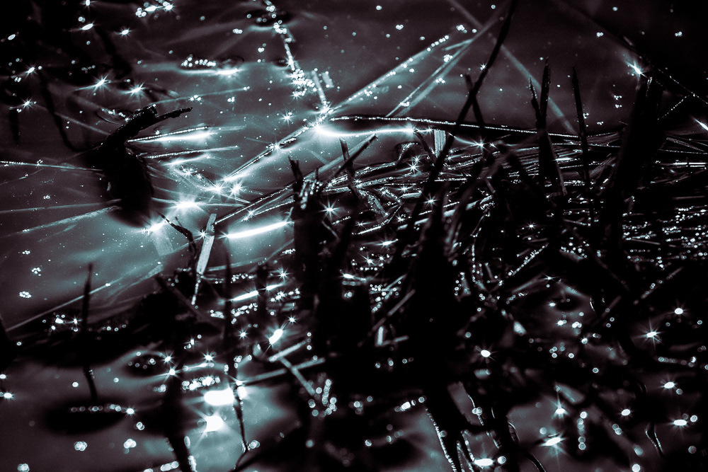 photo du soleil qui reflette dans l'eau d'un étang de la Dombes