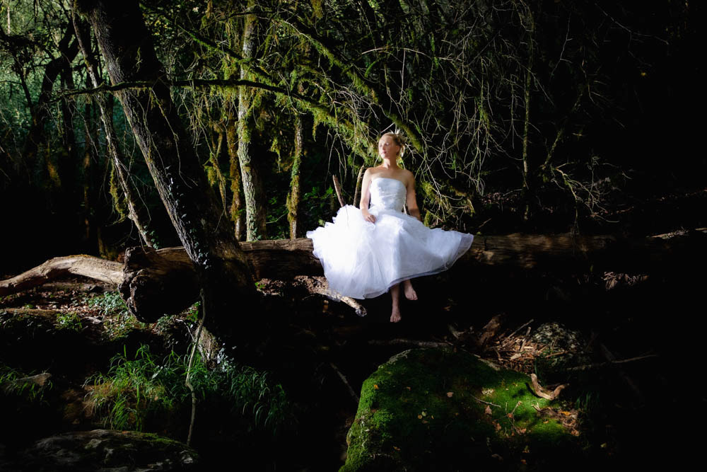 photo de la mariée sur la branche 