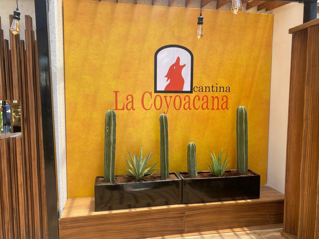 Pérgola | Cantina La Coyoacana 