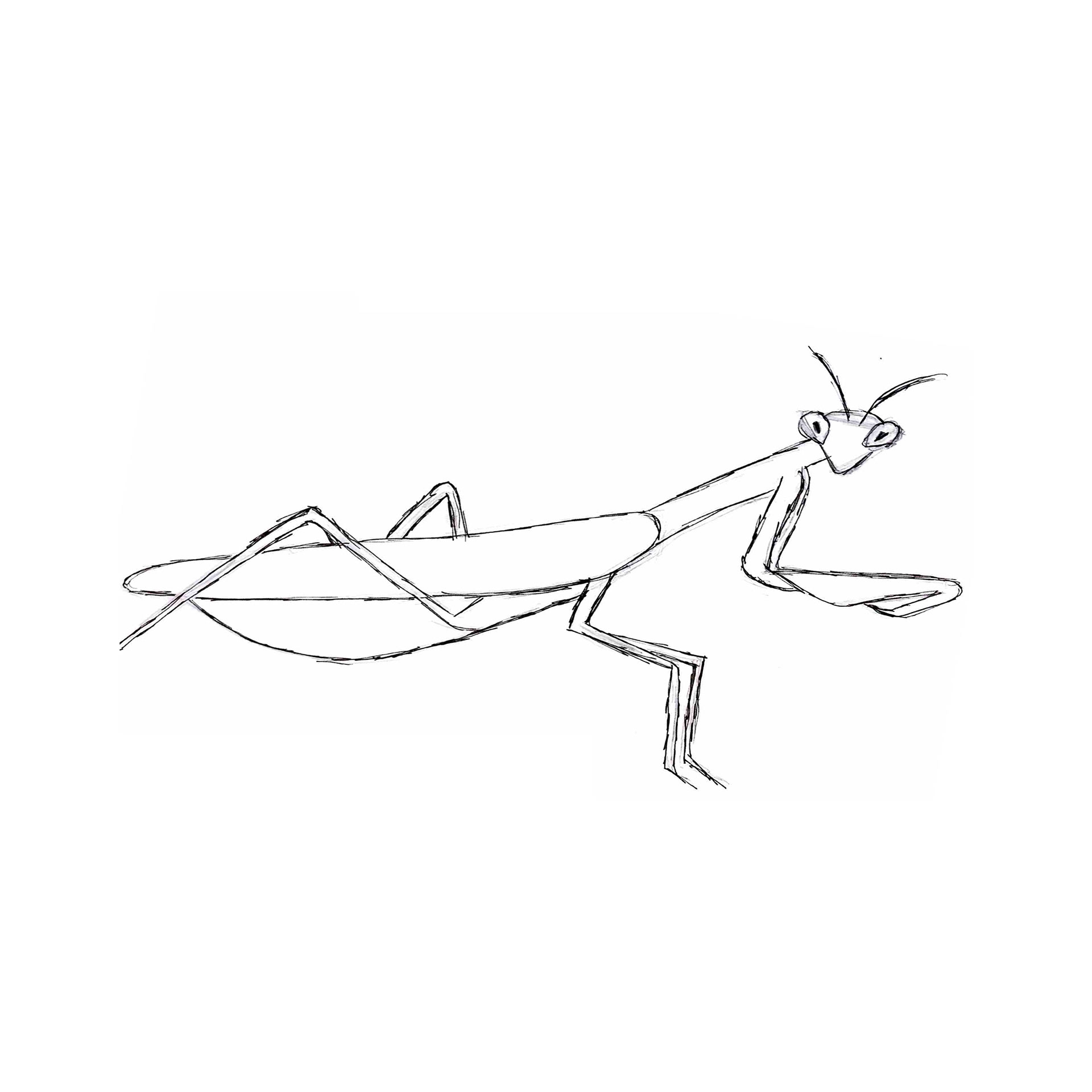 Worked on full body 