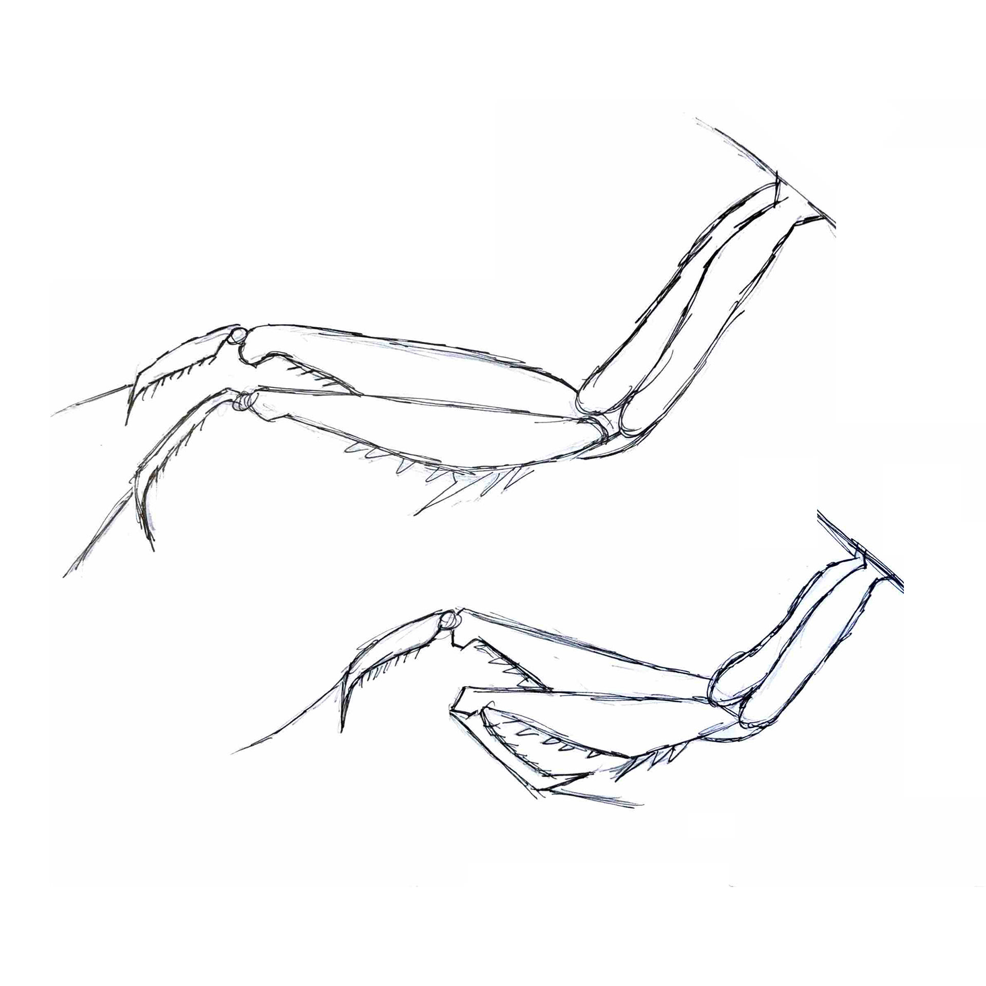 Focused on different arm positions