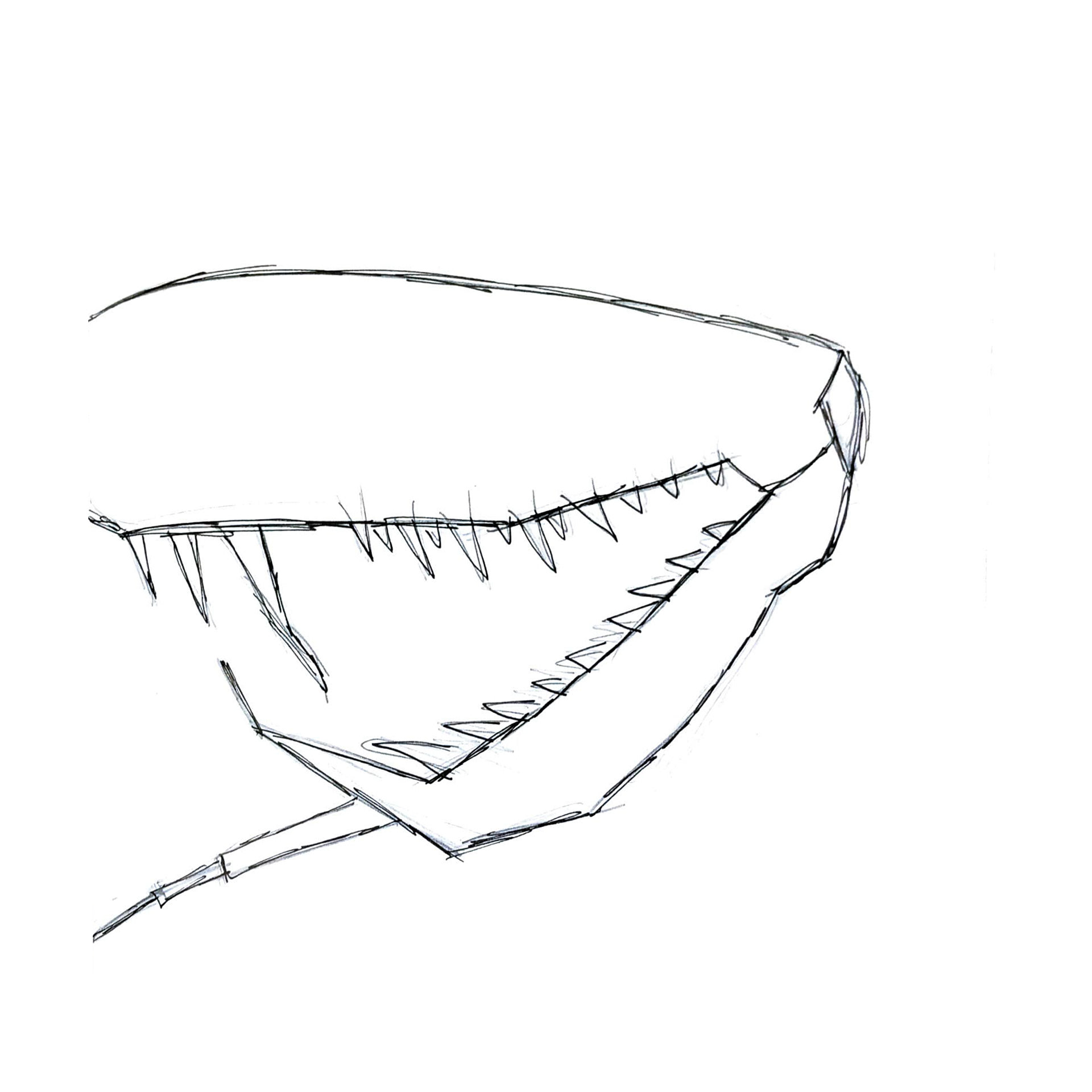 Detailed drawing to the claw