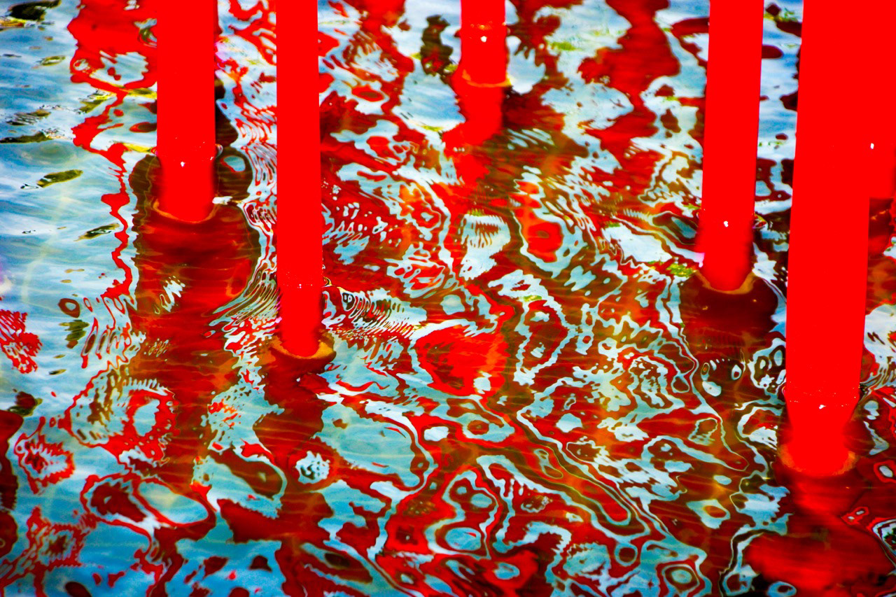 Dale Chihuly's Red Reeds in the VMFA garden reflecting pool