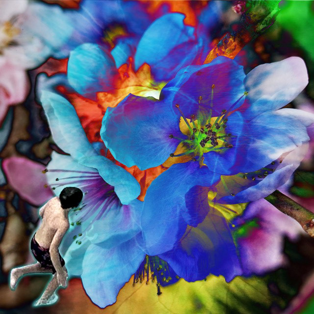 A boy viewing a flower.