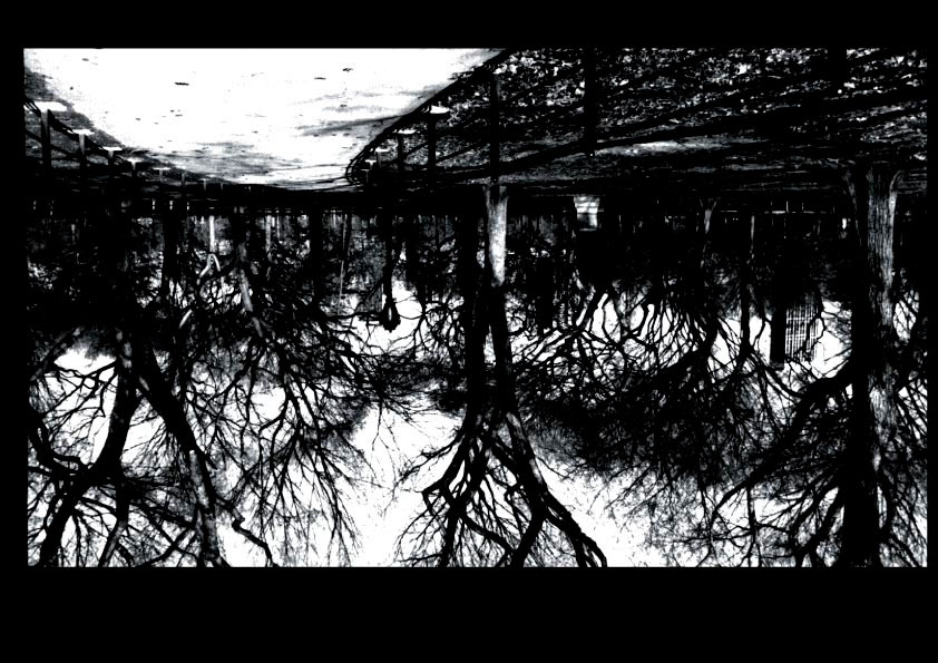 Untitled-27