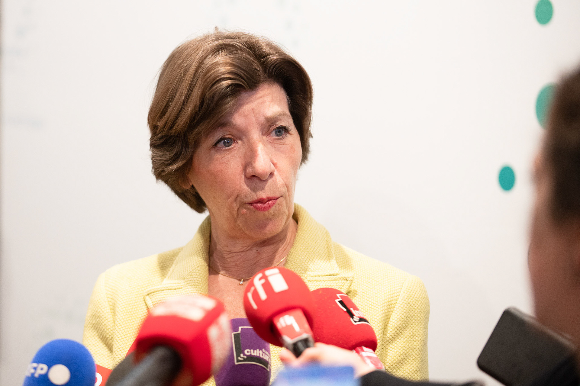 Catherine Colonna, UNESCO