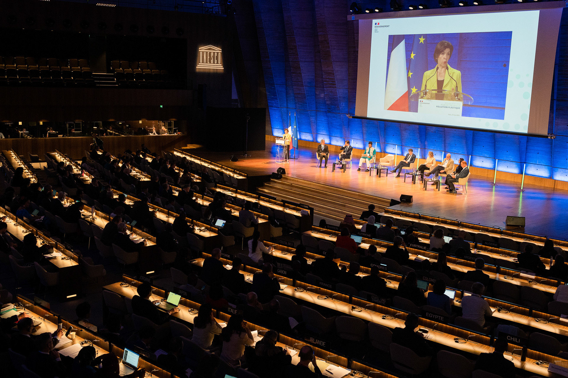 Catherine Colonna, UNESCO