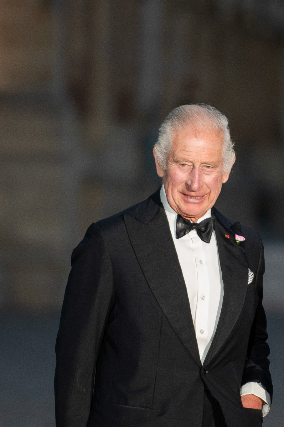 Charles III, Versailles