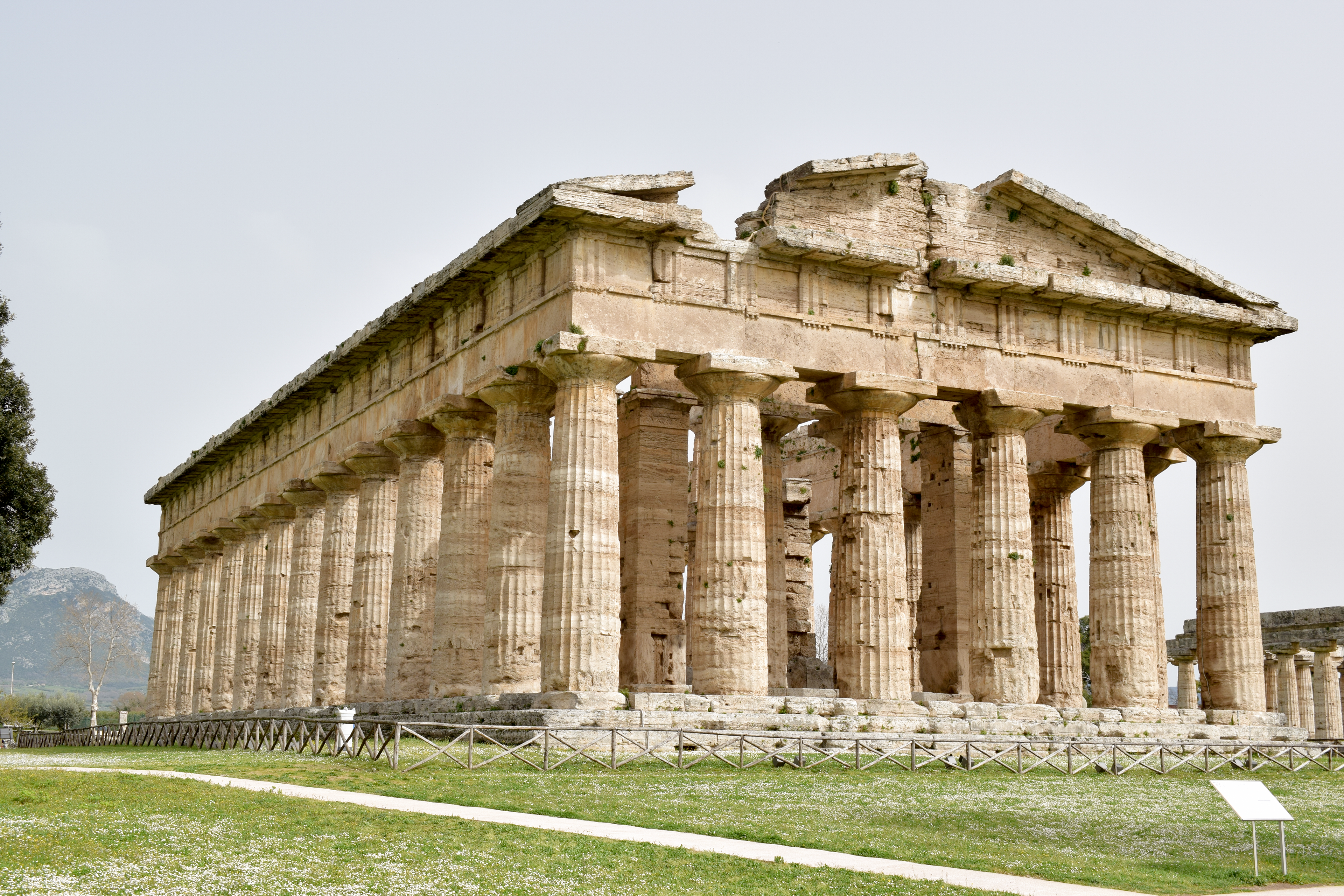 Temple of Athena. Paestum, Italy