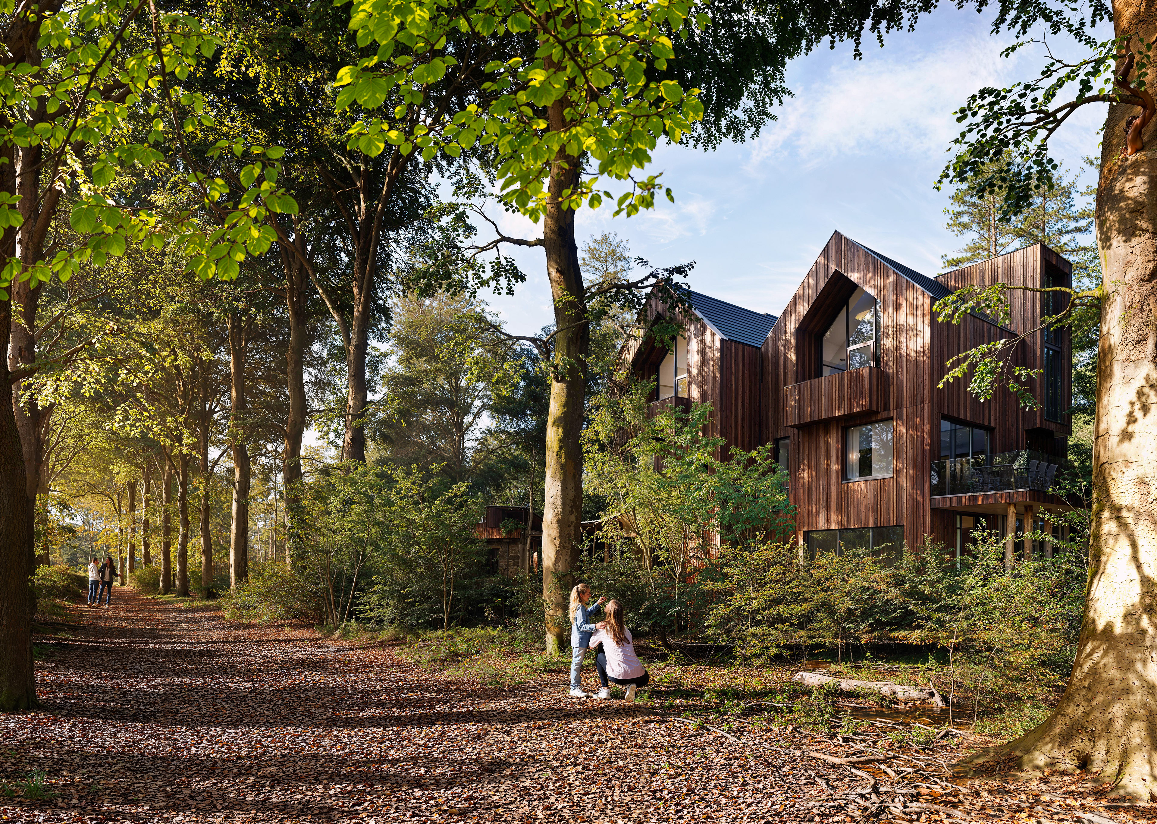Een 3d architectuur impressie van prachtige houtbouw woningen in het bos in een zonnige dagsfeer. Deze visualisatie is gemaakt door Axes Virtual Creations in opdracht van Latei Projectontwikkeling voor een tender. De woningen zijn energieneutraal. 