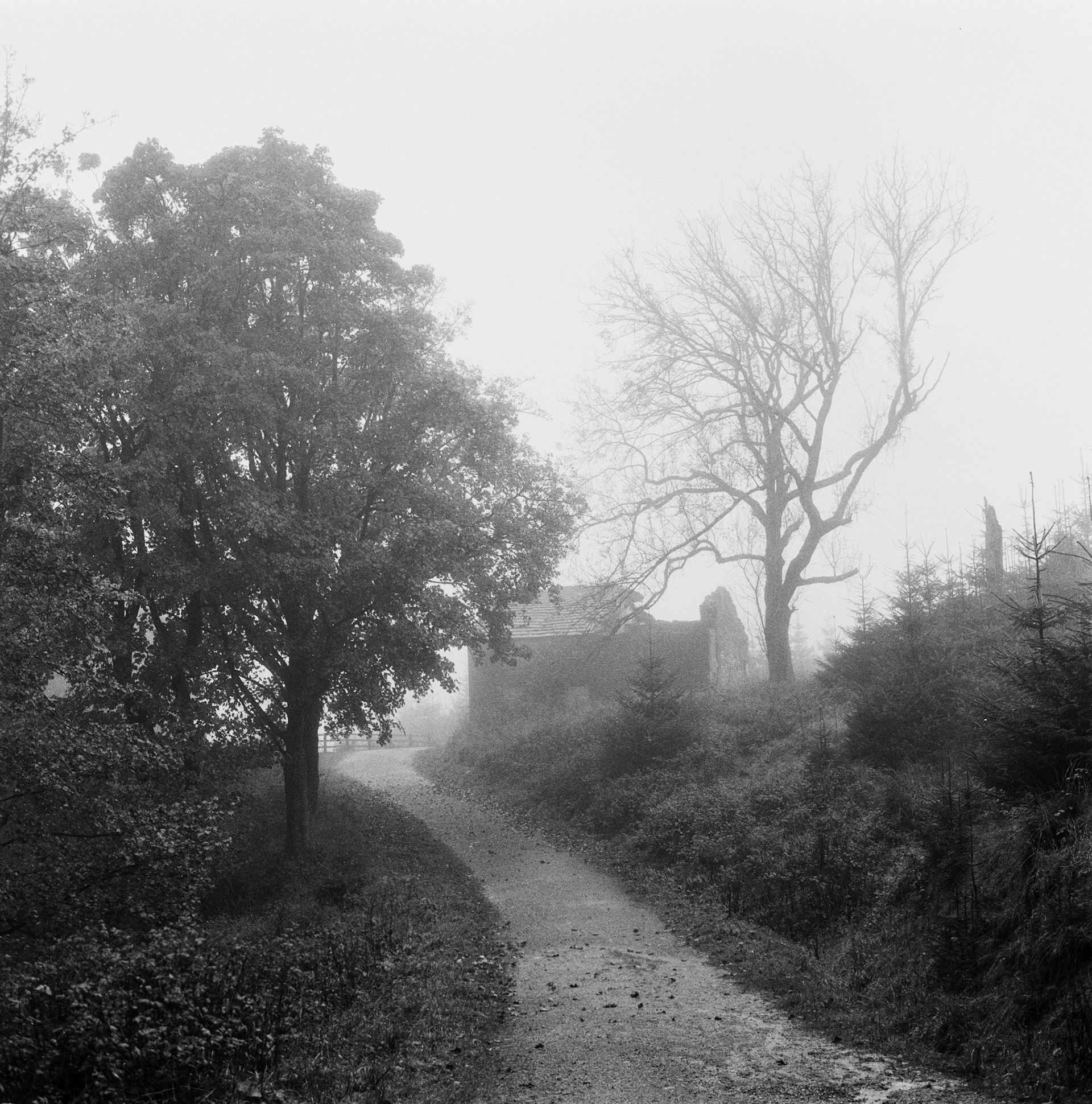 Macclesfield Forest in Fog, 2024