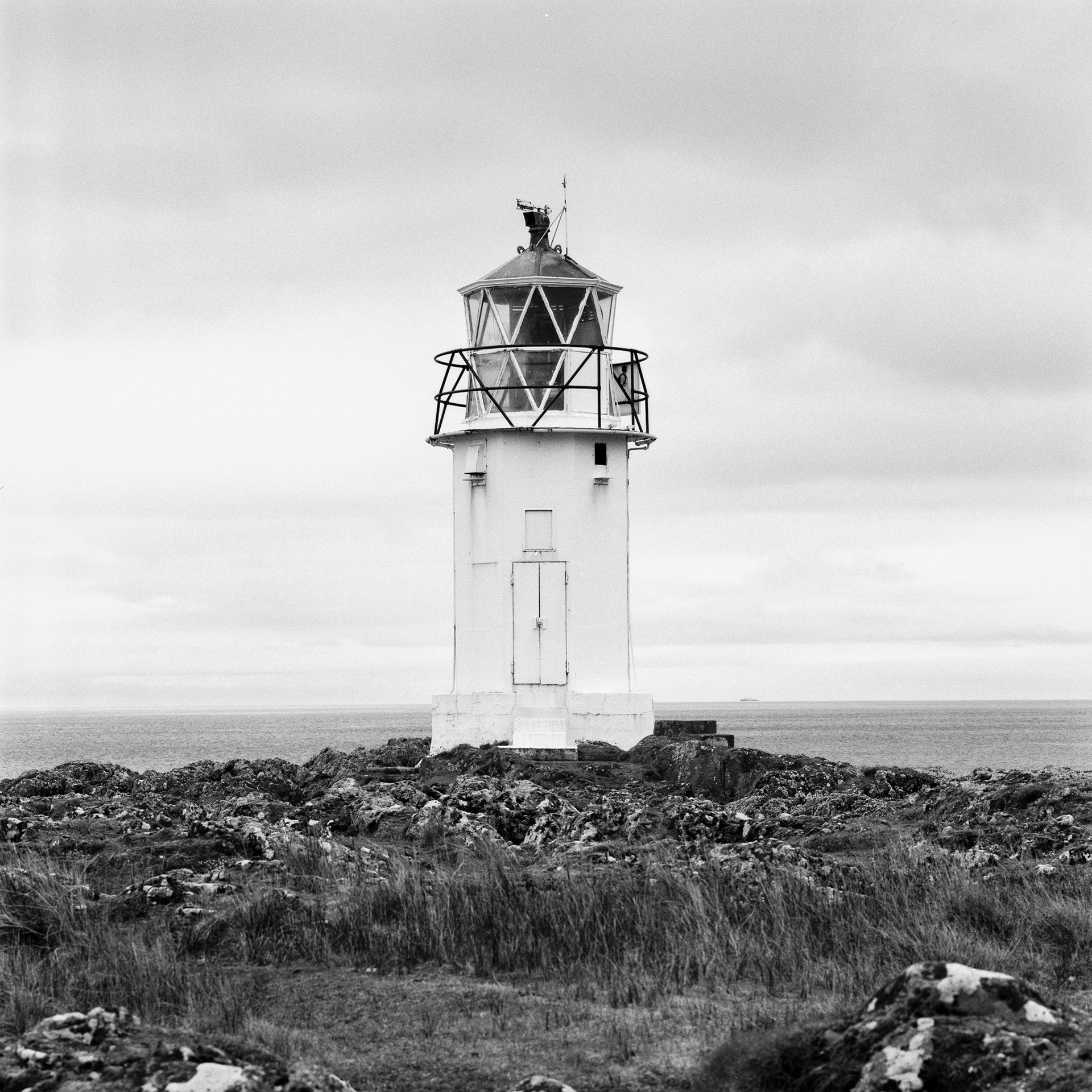 The Lighthouse, 2024