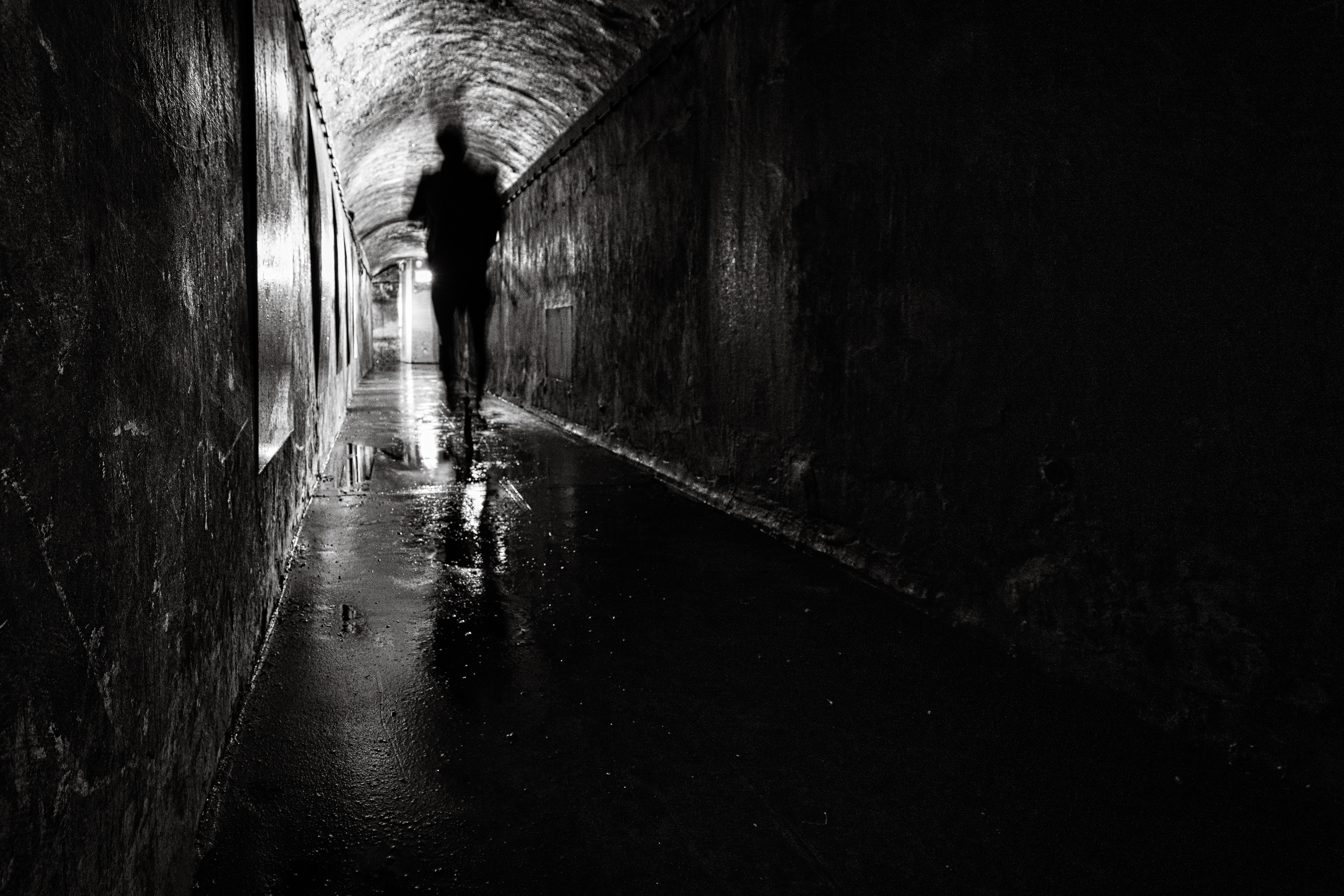 The Third Man 1