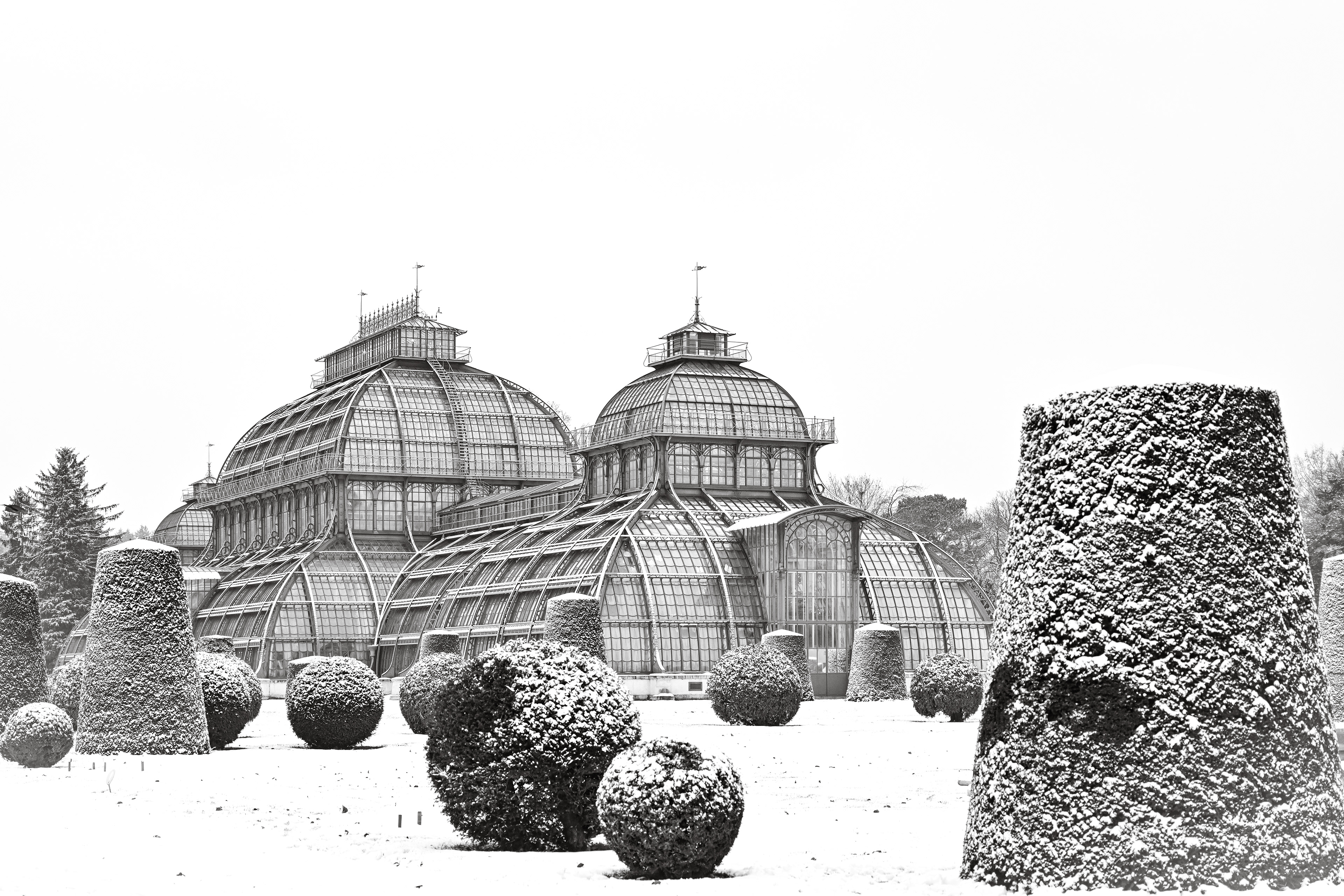 Palmenhaus Schönbrunn